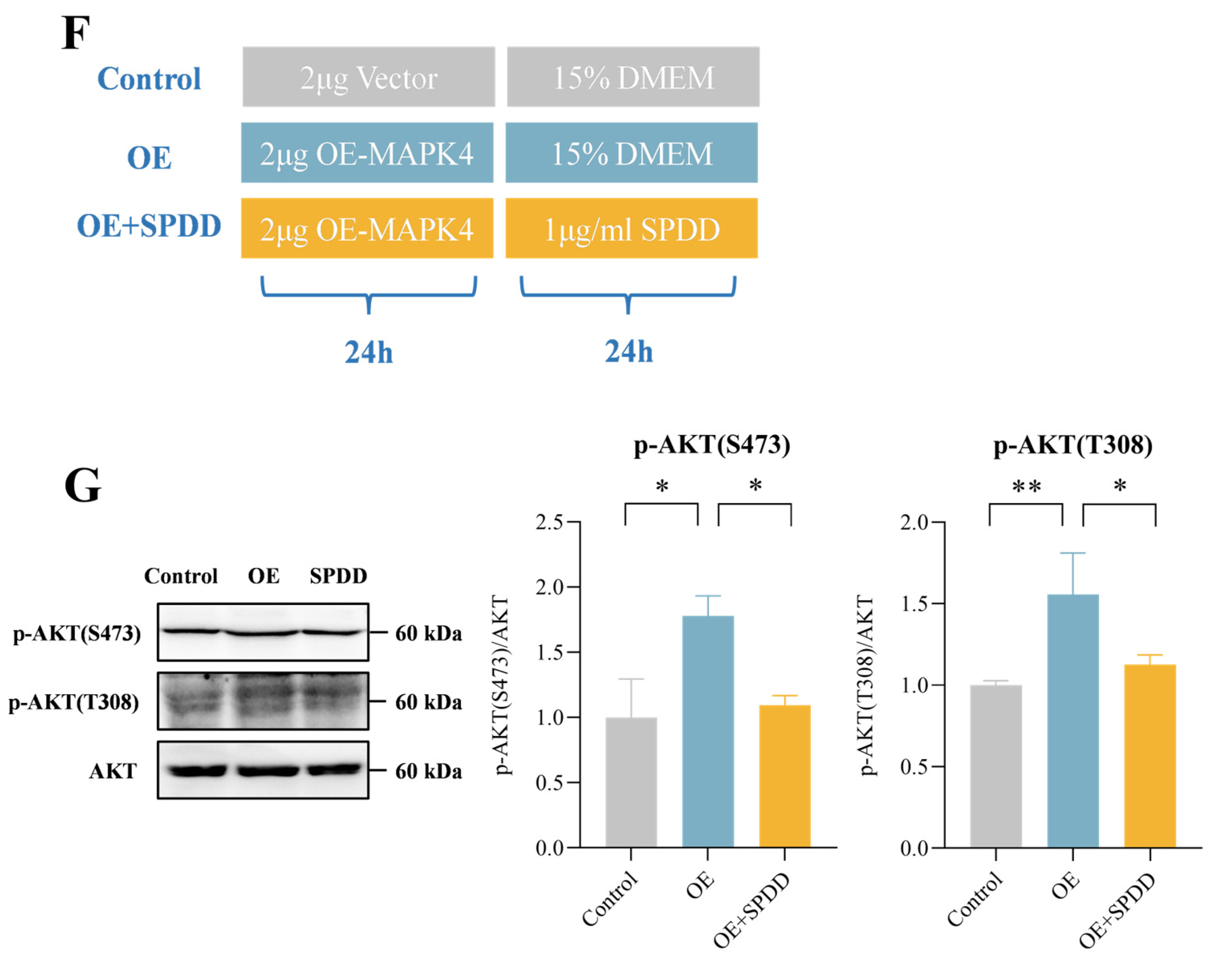 Foods 14 01110 g006b