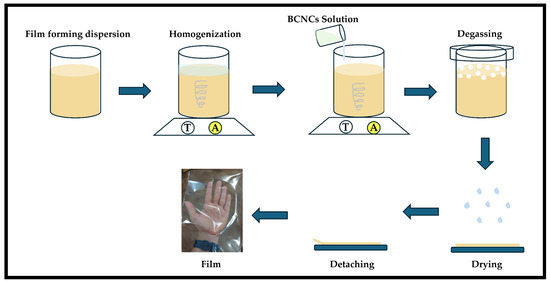 レンジ。 掘り出し市】シグネット 4PC 超ロングストレートメガネSIGNET