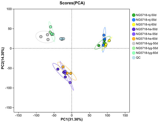 Effect of Harvest Time on Non-Volatile Metabolites in
