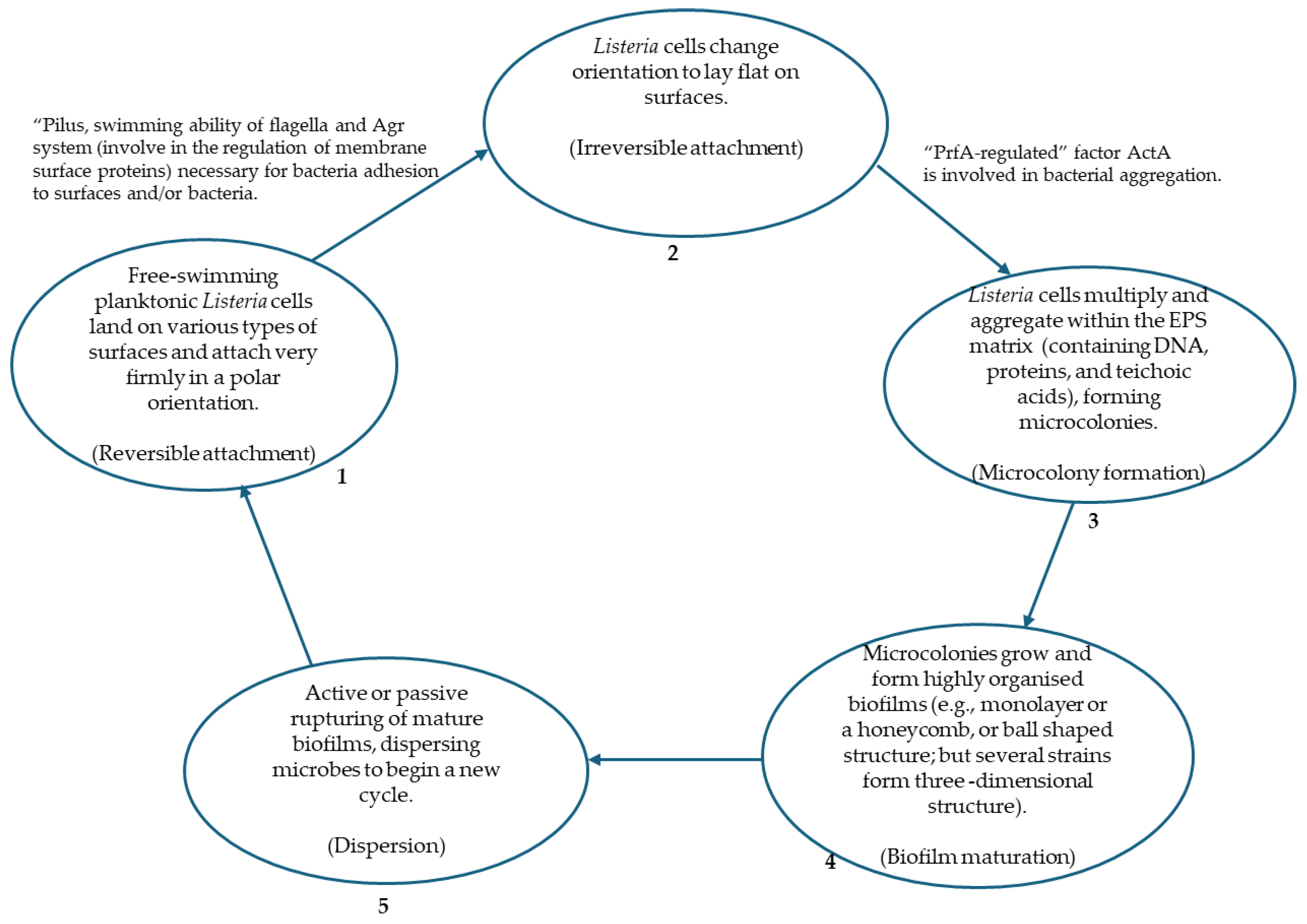 Foods 14 01266 g001 Foods 14 01266 g001