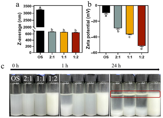 Synergistic Amylase and Debranching Enzyme Catalysis to