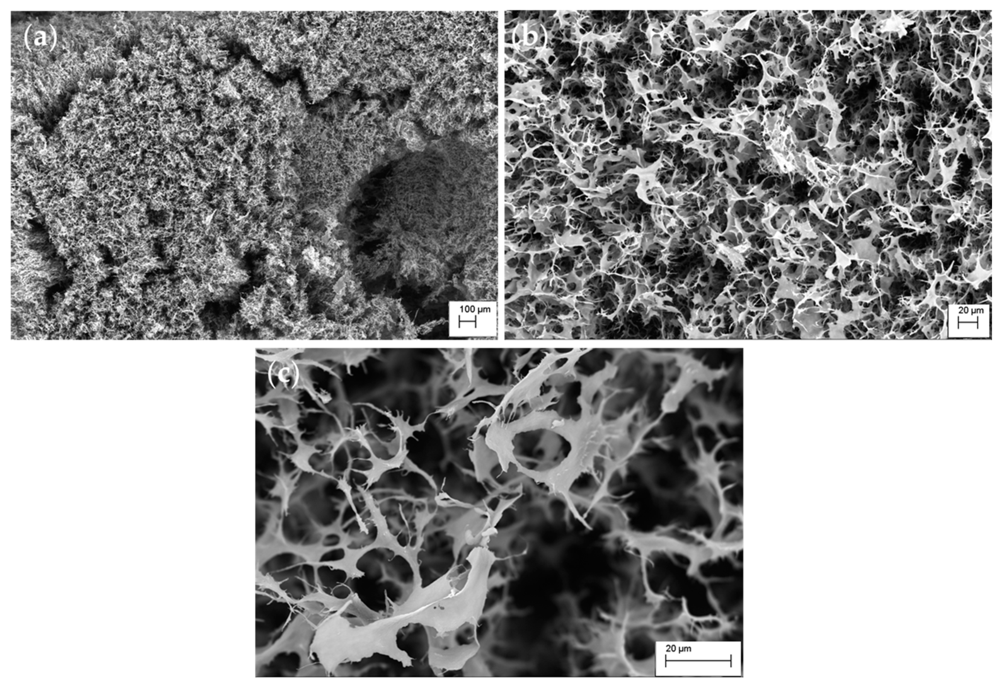 Foods 14 01272 g007 Foods 14 01272 g007