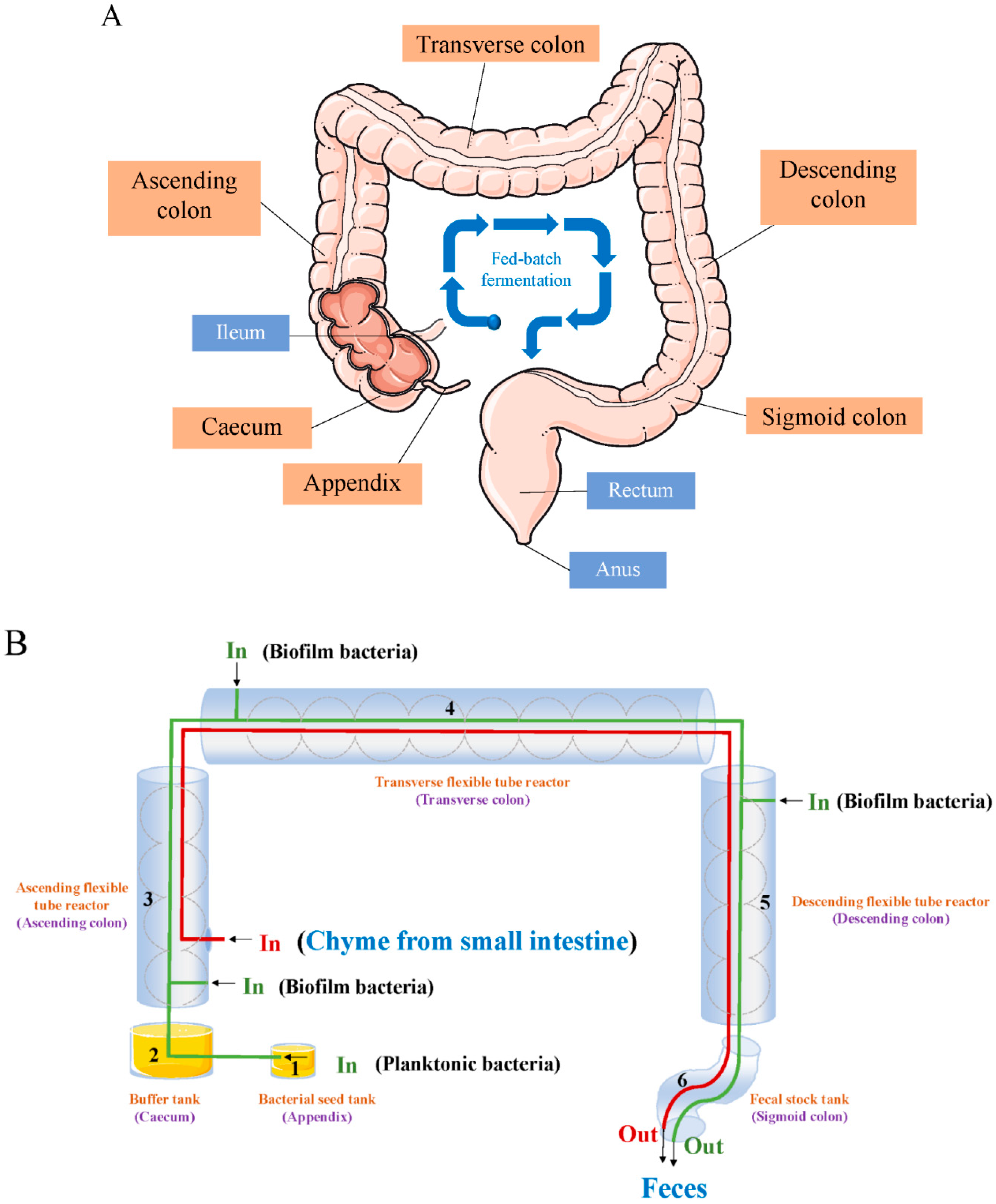Foods 14 01335 g002a Foods 14 01335 g002a