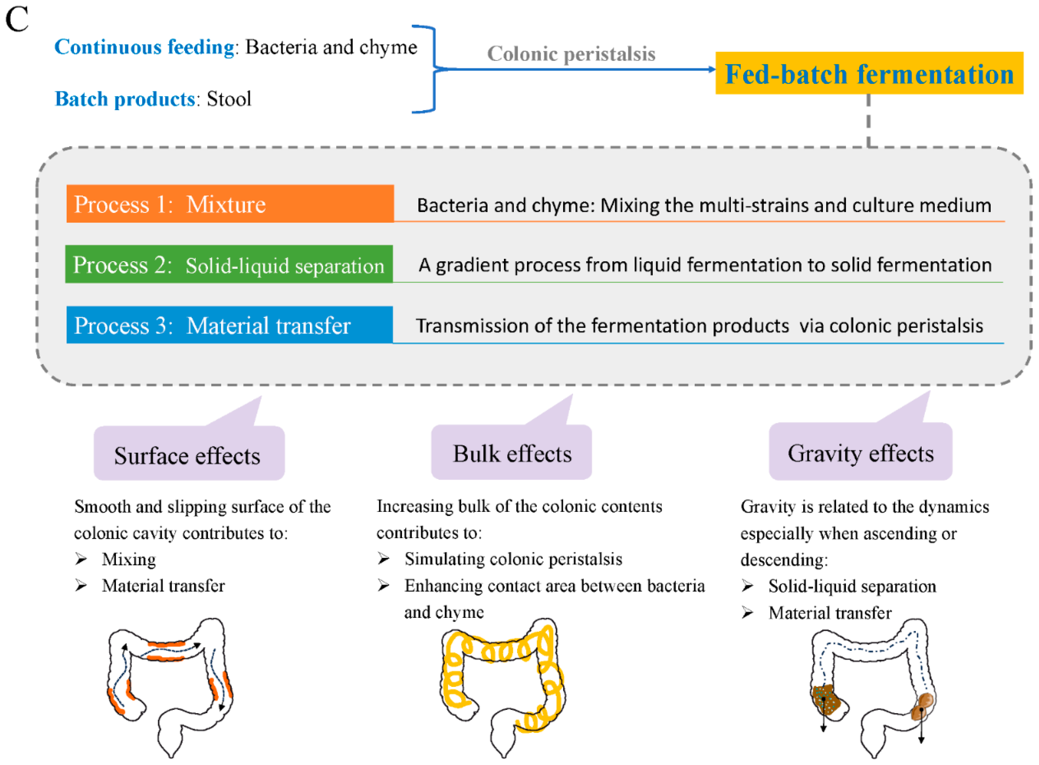 Foods 14 01335 g002b Foods 14 01335 g002b