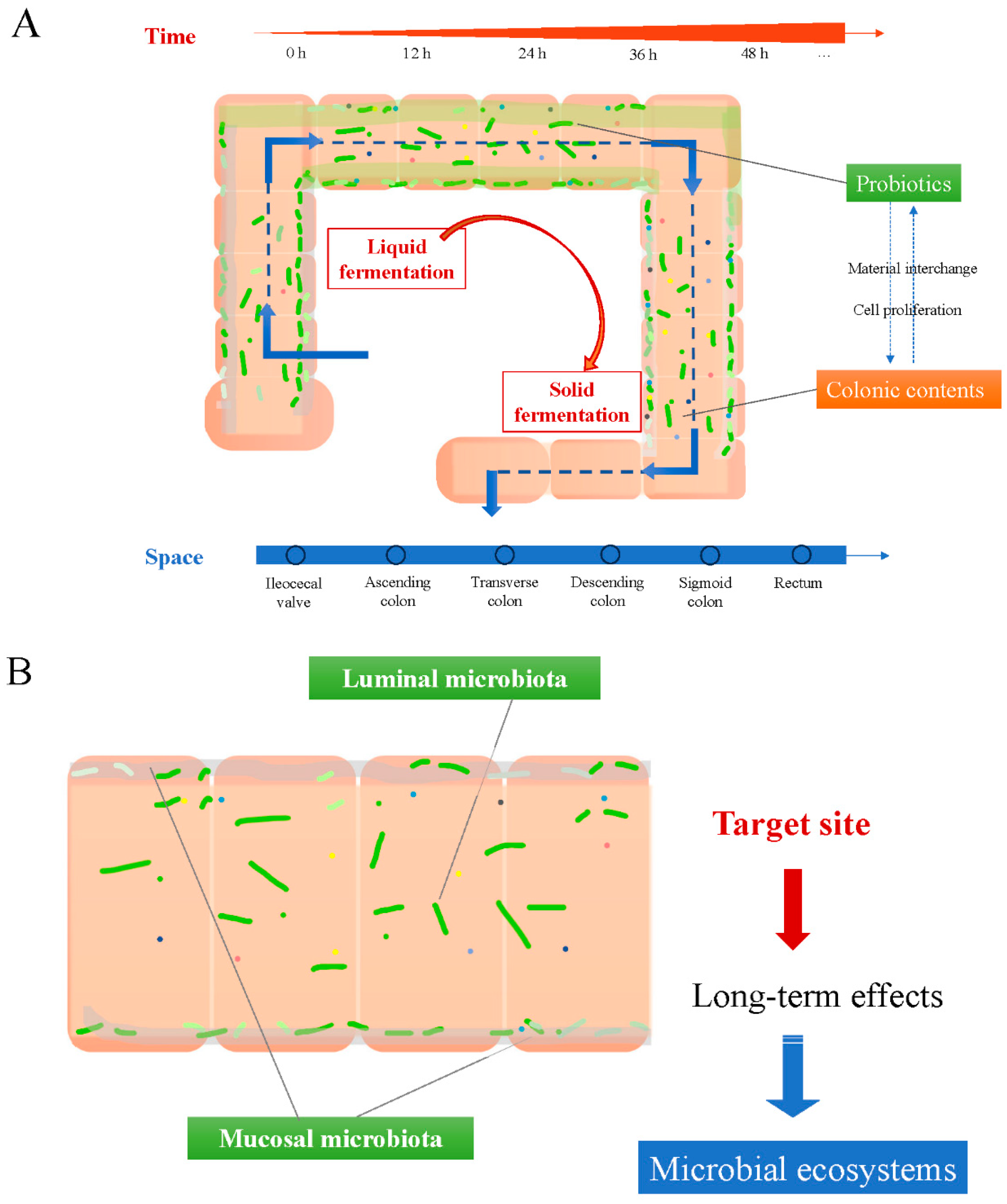 Foods 14 01335 g003a Foods 14 01335 g003a