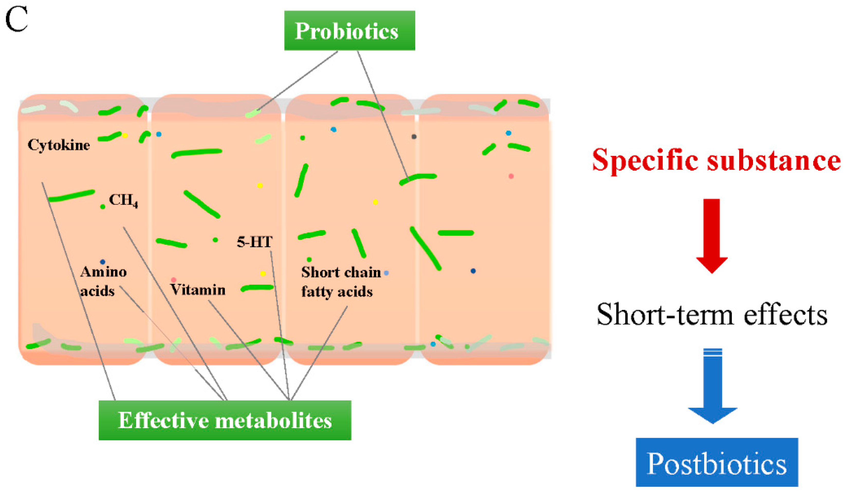 Foods 14 01335 g003b Foods 14 01335 g003b