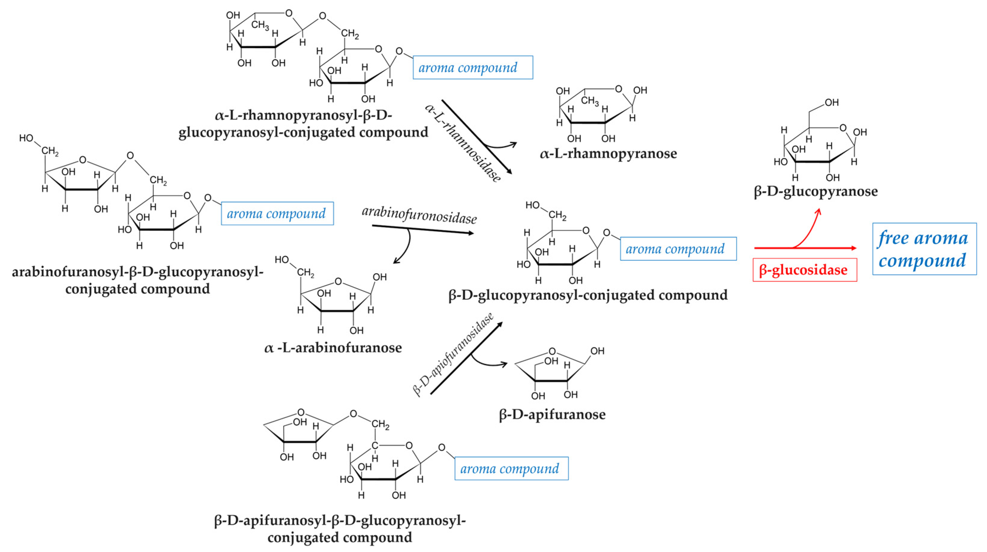 Foods 14 01451 g001 Foods 14 01451 g001