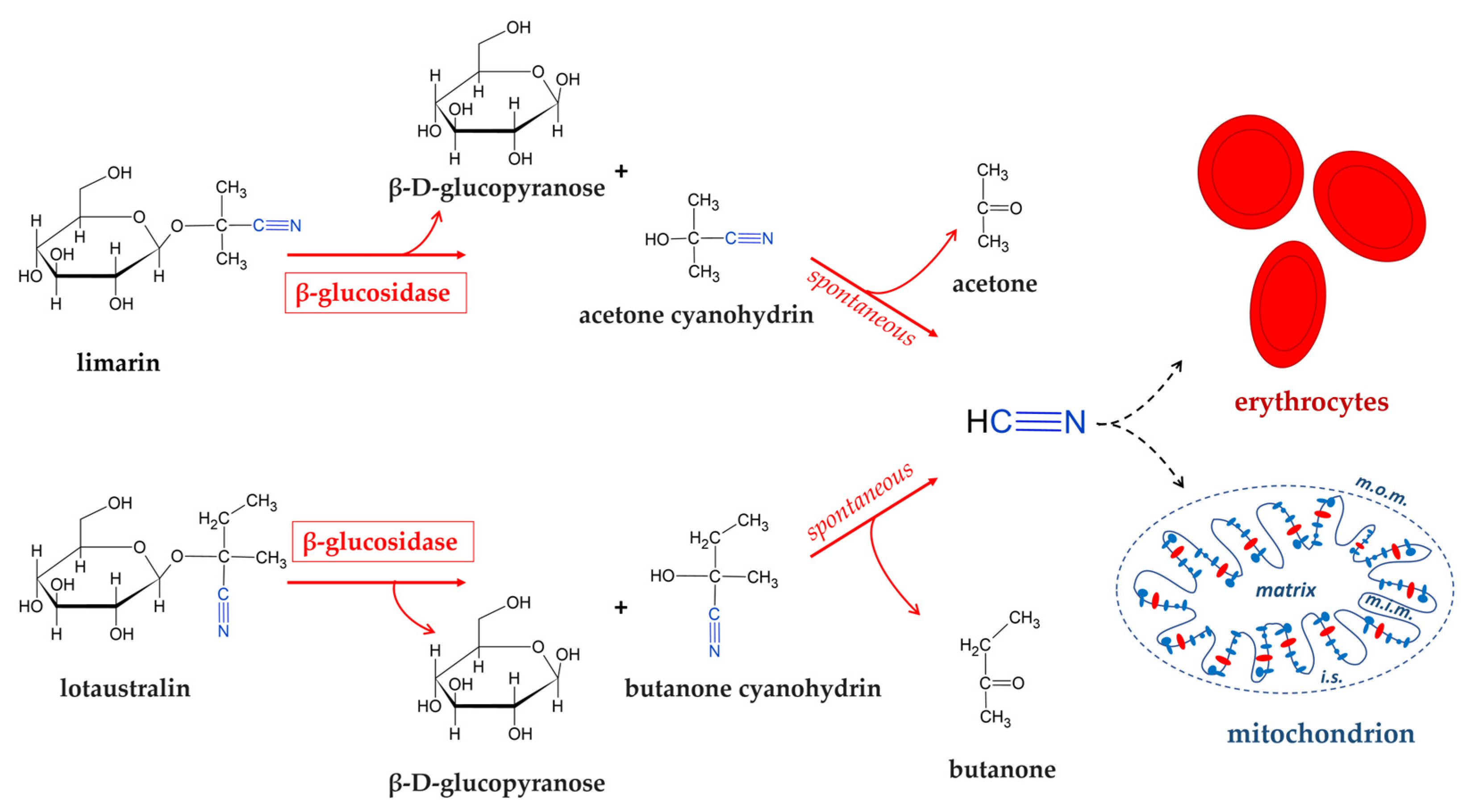 Foods 14 01451 g003 Foods 14 01451 g003
