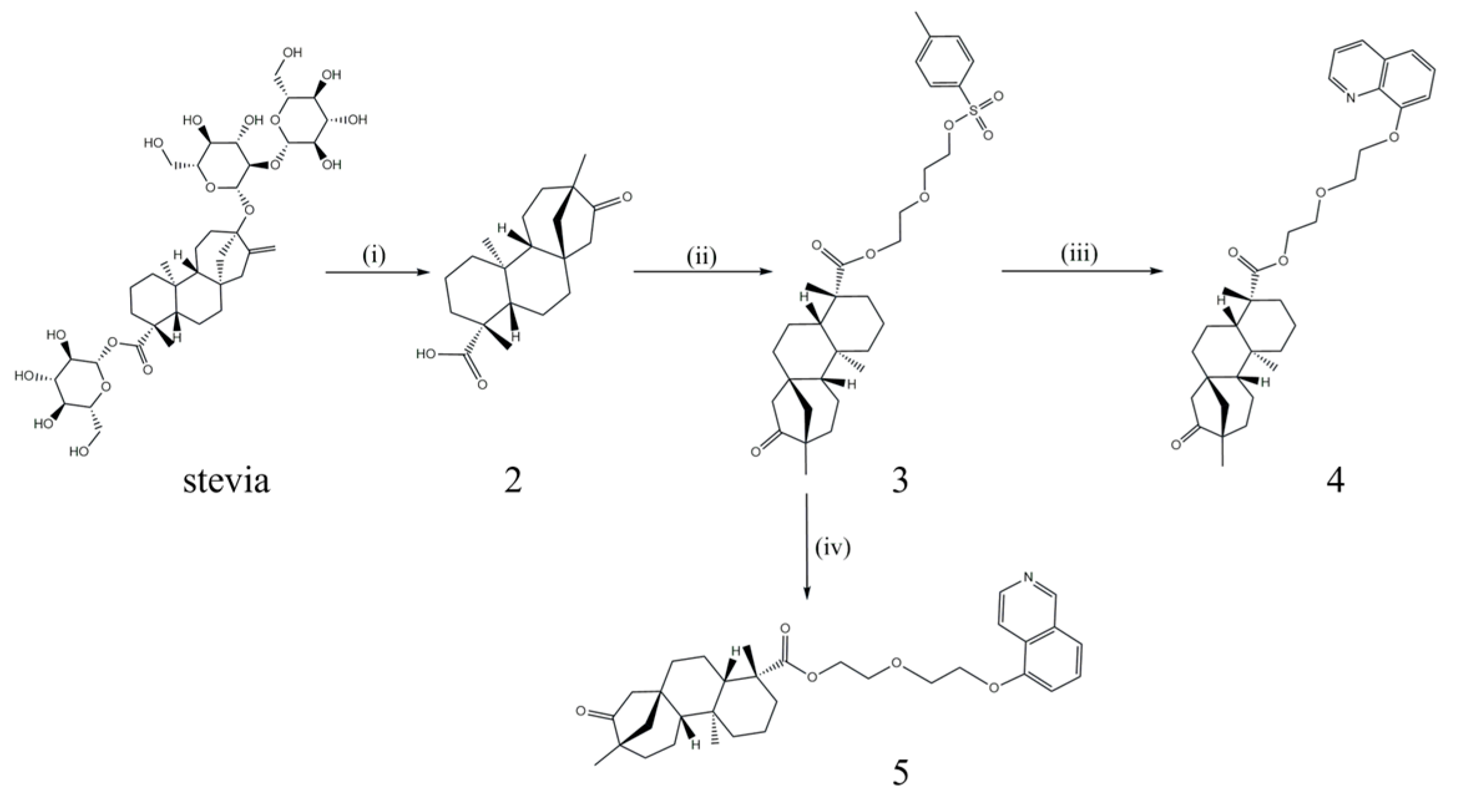Foods 14 01541 sch002