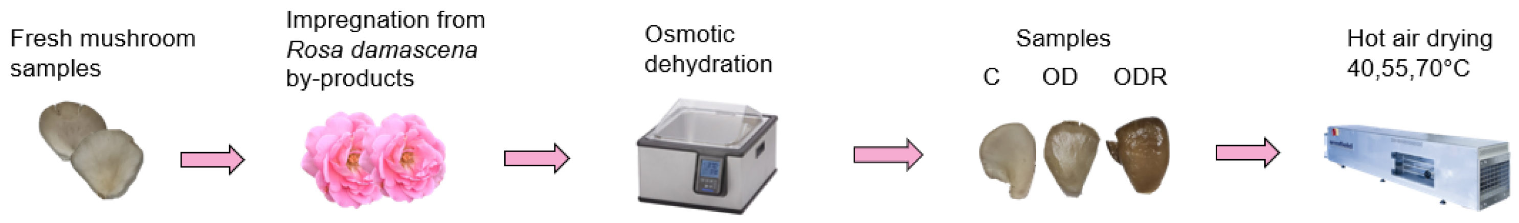 Foods 14 01543 g001 Foods 14 01543 g001