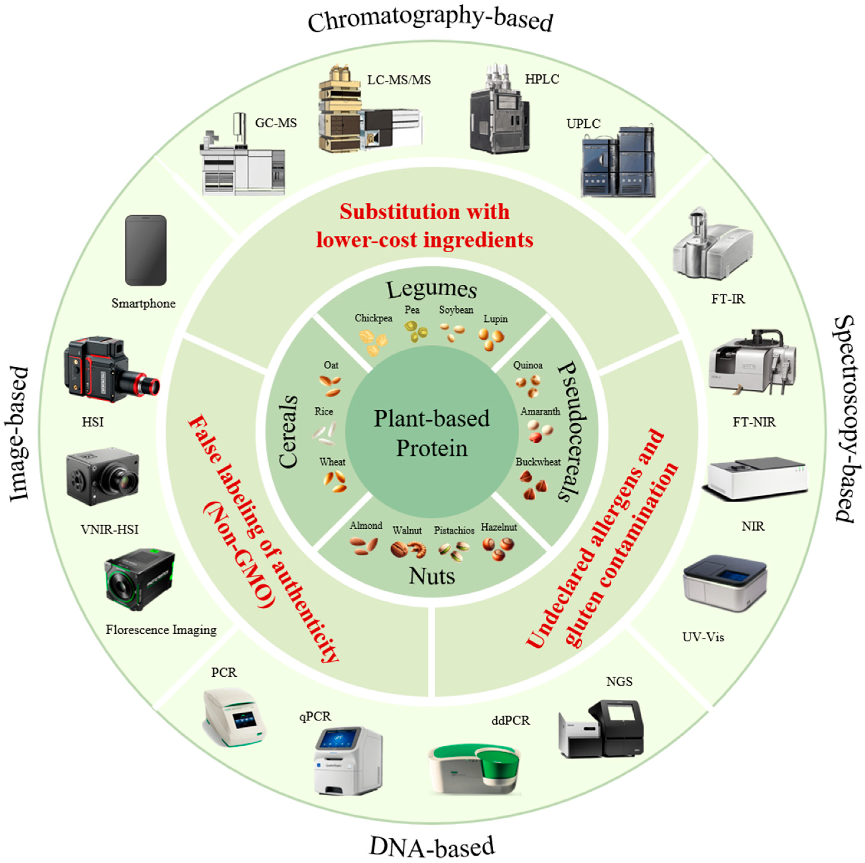 Food Fraud in Plant-Based Proteins: Analytical Strategies