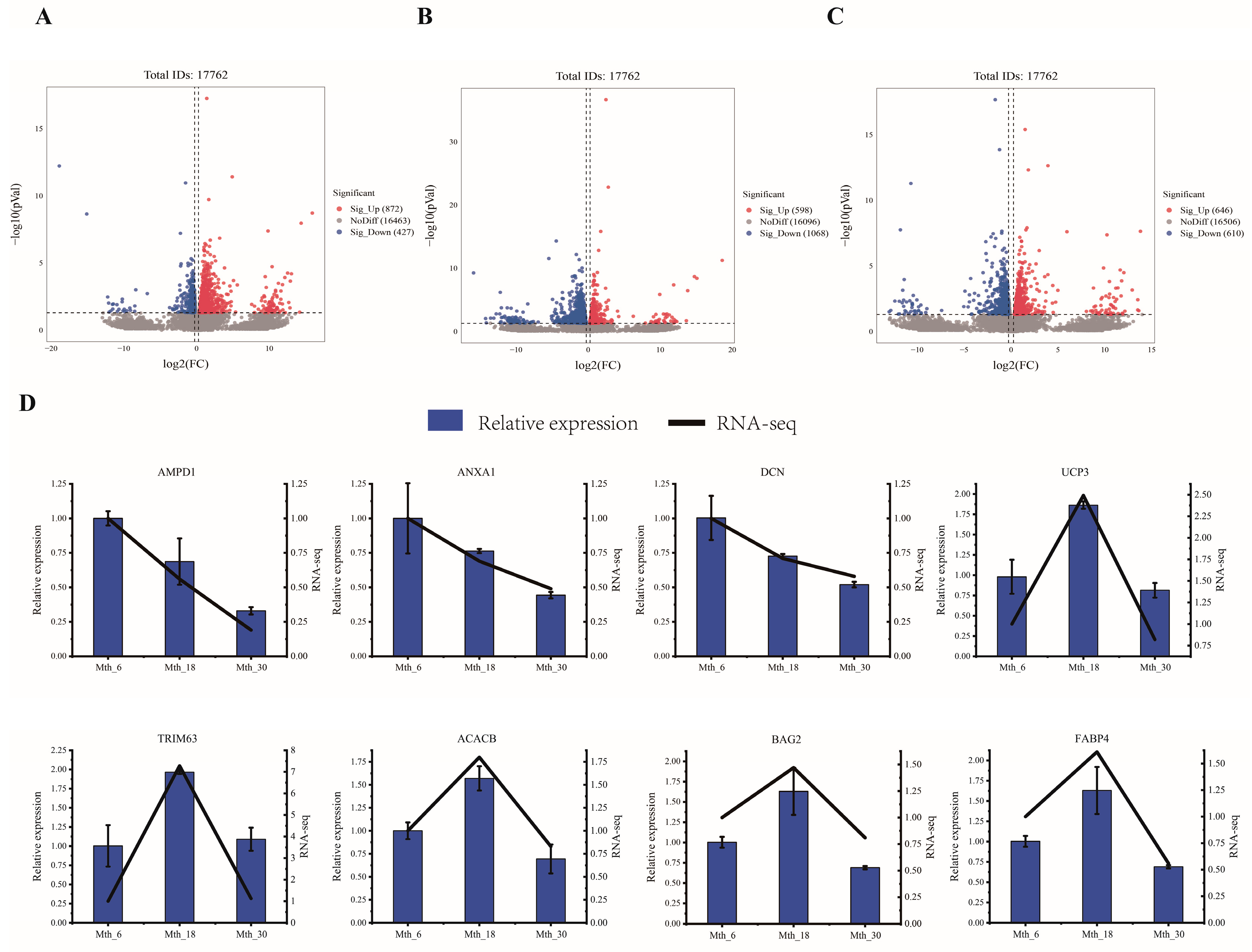 Foods 14 01616 g004 Foods 14 01616 g004