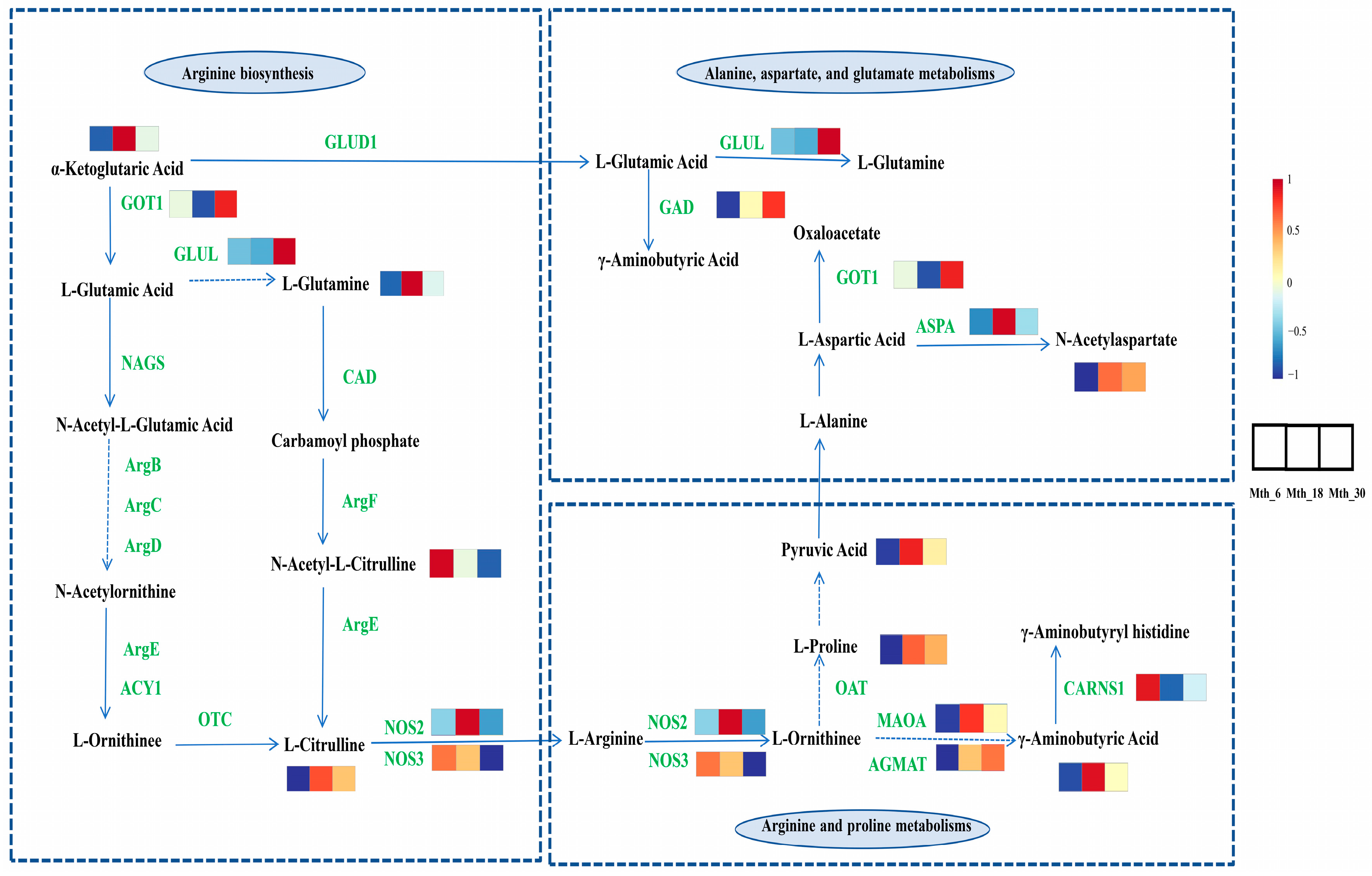 Foods 14 01616 g007 Foods 14 01616 g007