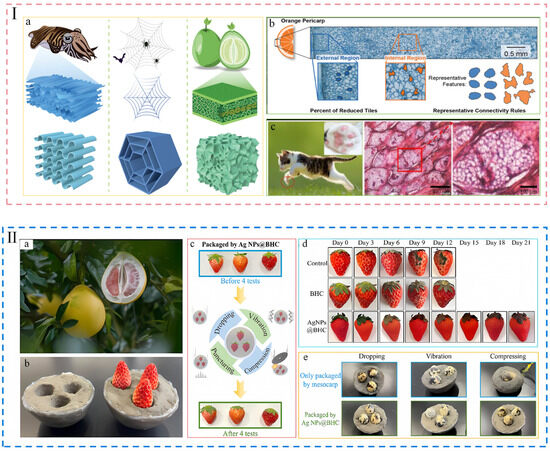 A Review on Replacing Food Packaging Plastics with Nature