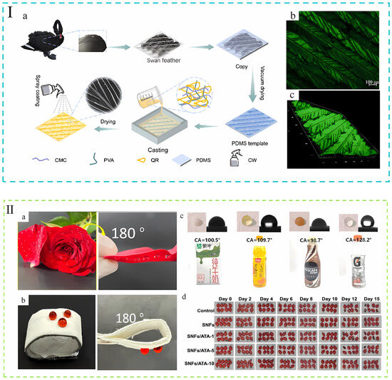 A Review on Replacing Food Packaging Plastics with Nature