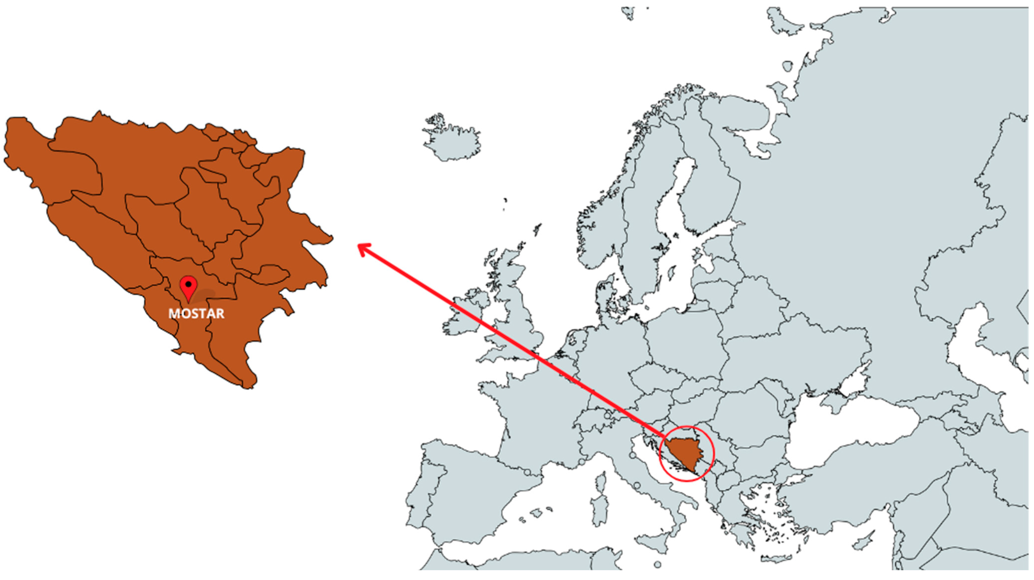 Foods 14 01668 g001 Foods 14 01668 g001