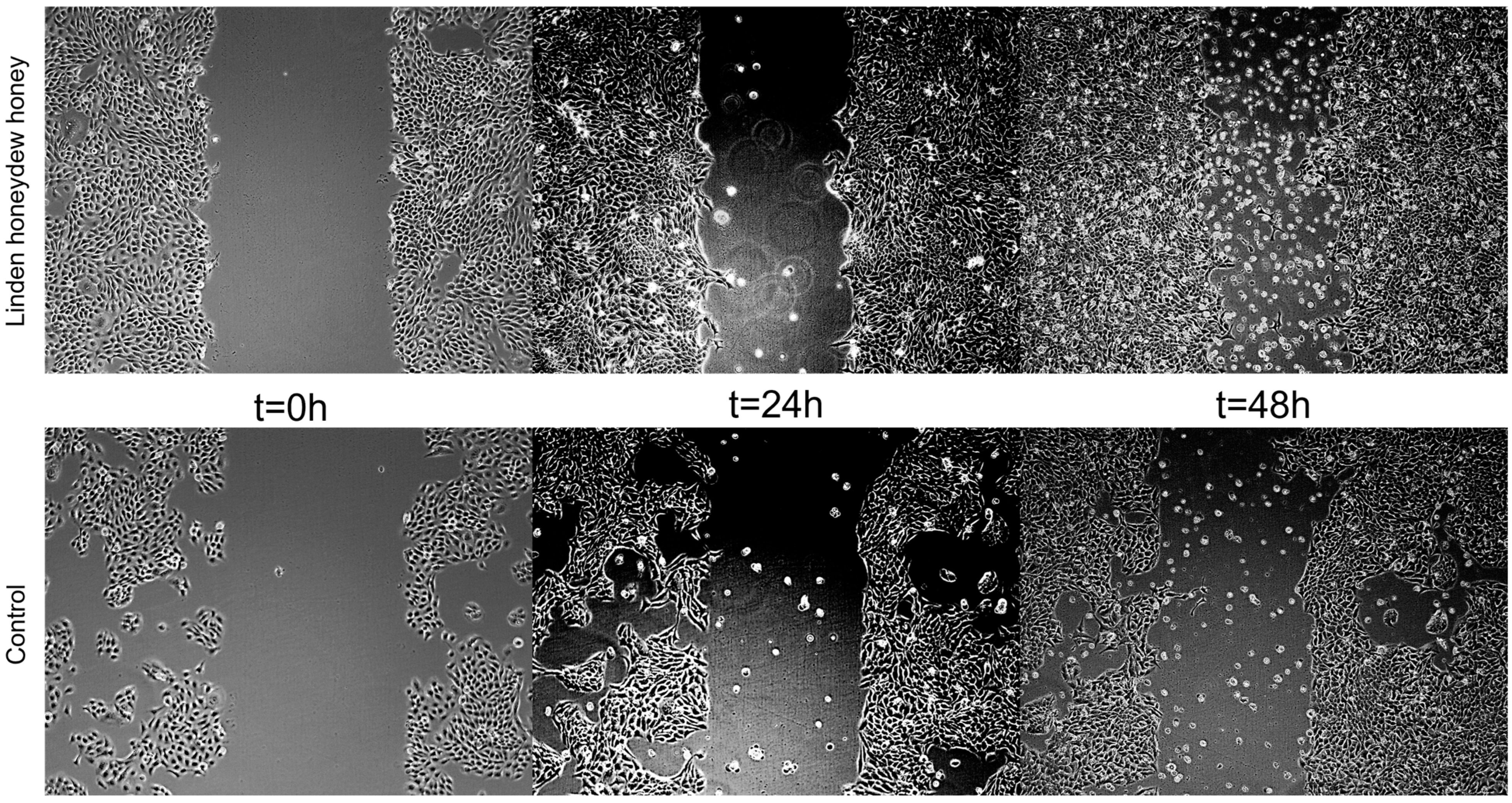 Foods 14 01668 g006 Foods 14 01668 g006