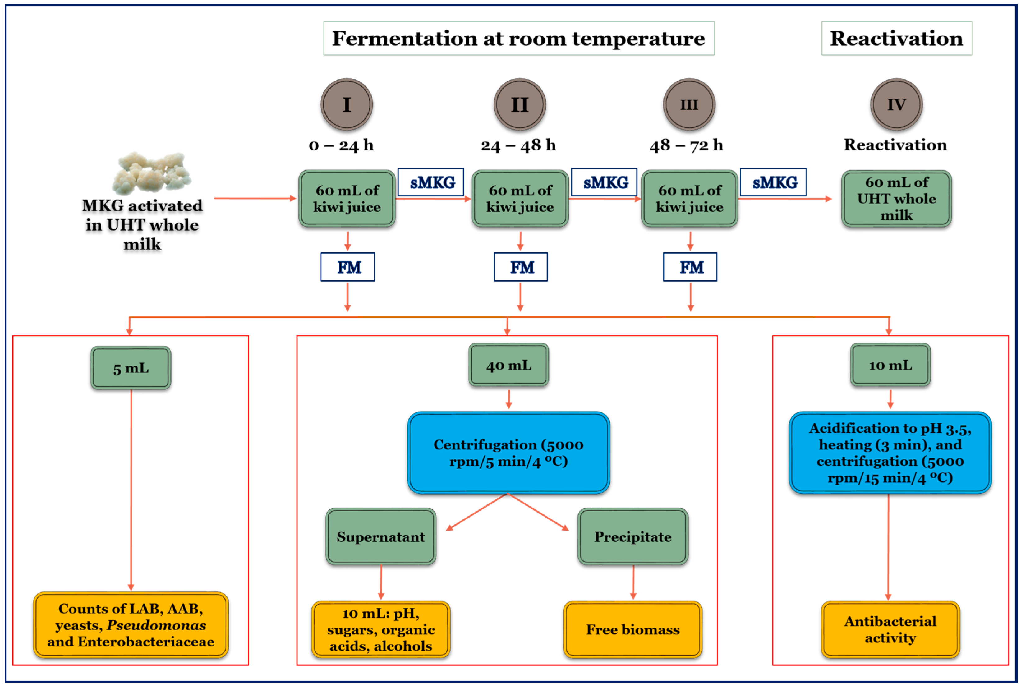 Foods 14 01681 g001 Foods 14 01681 g001