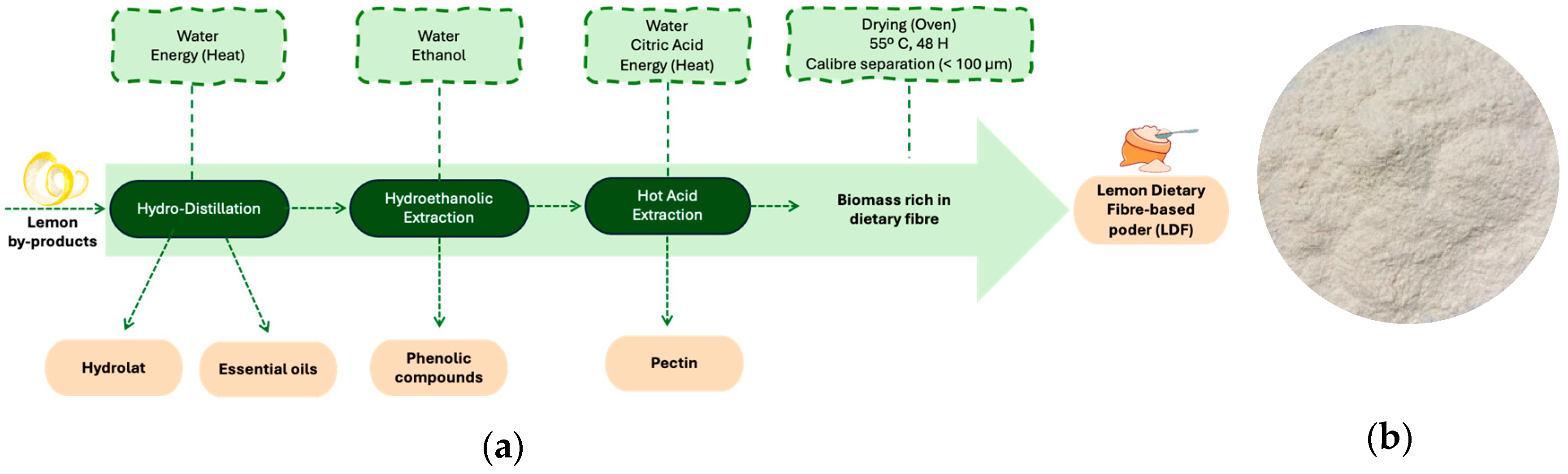 Foods 14 01693 g001 Foods 14 01693 g001