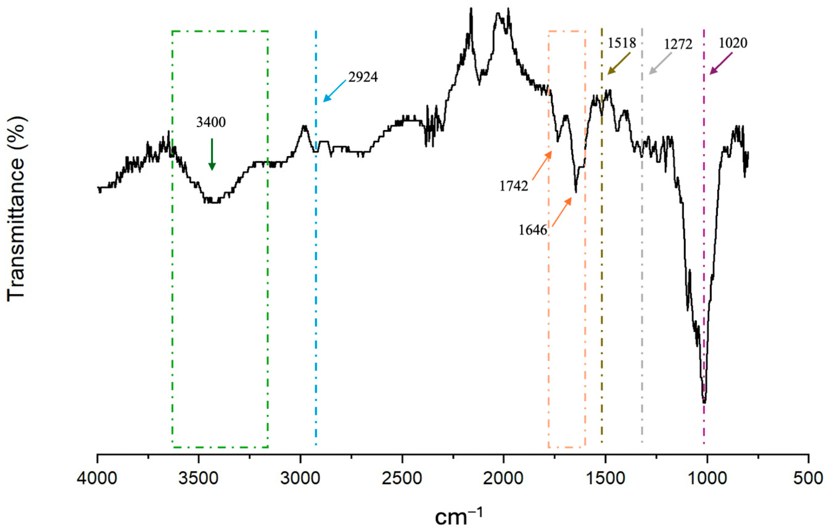 Foods 14 01693 g003 Foods 14 01693 g003
