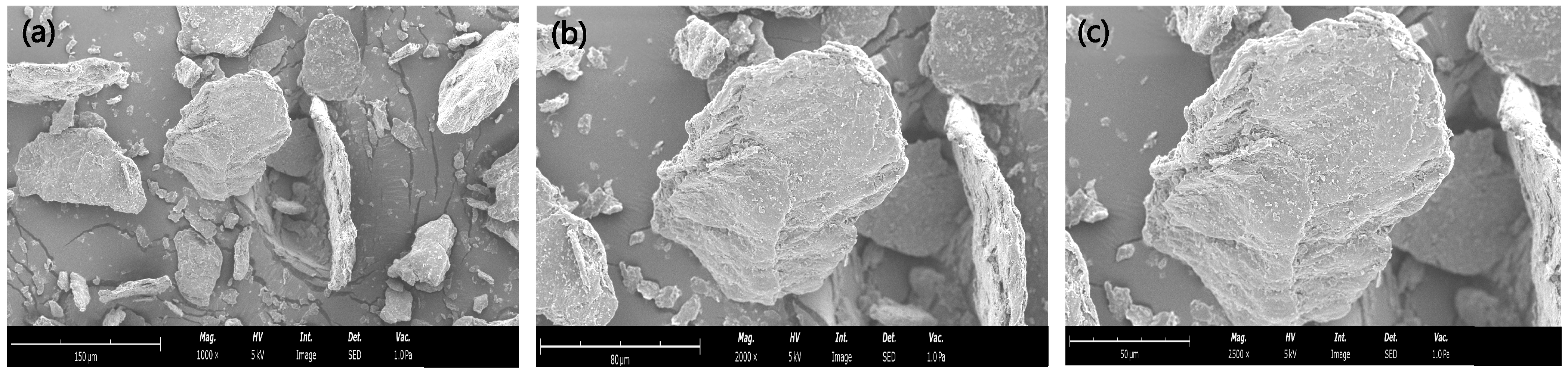 Foods 14 01693 g004 Foods 14 01693 g004