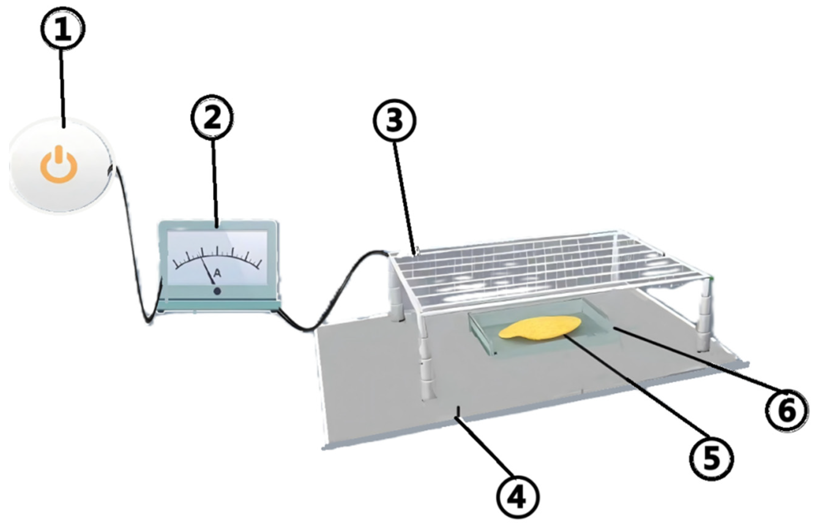 Foods 14 01752 g001a