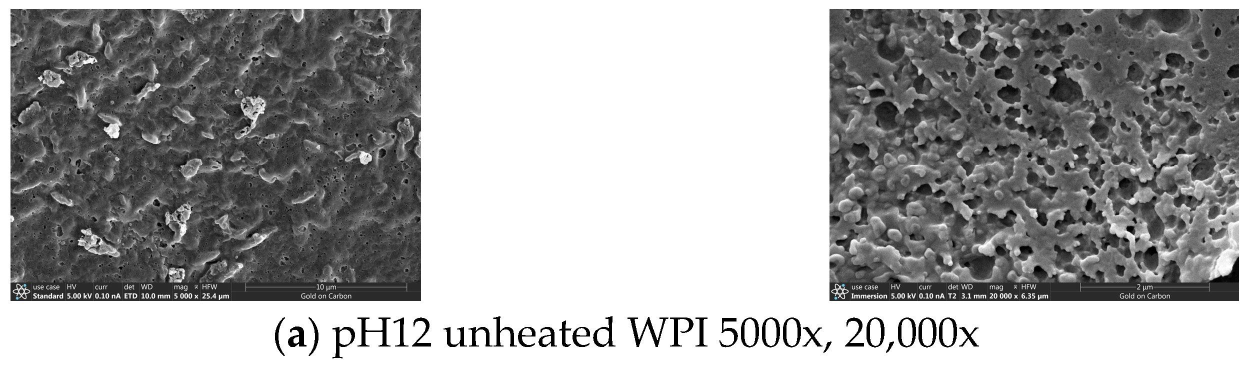 Foods 14 01754 g009a