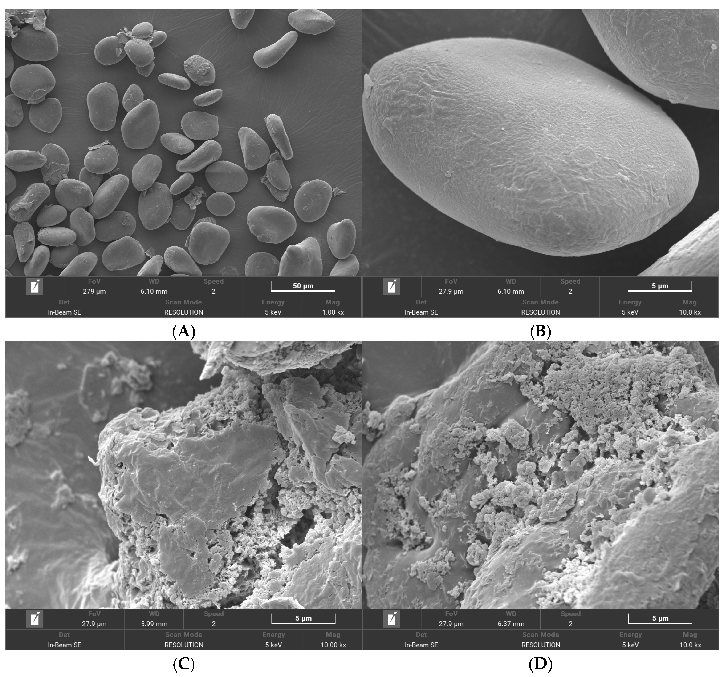 Foods 14 01761 g004a