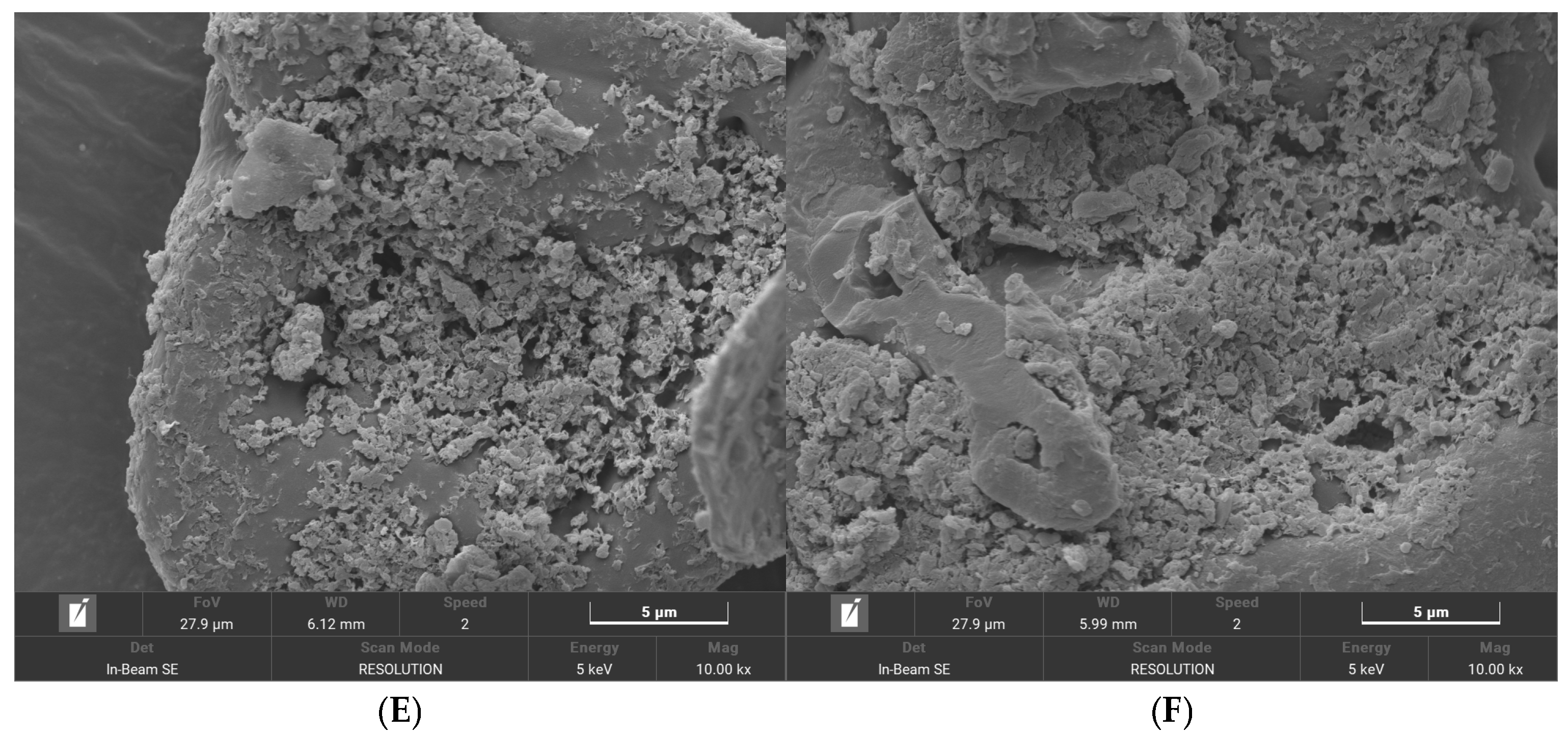 Foods 14 01761 g004b