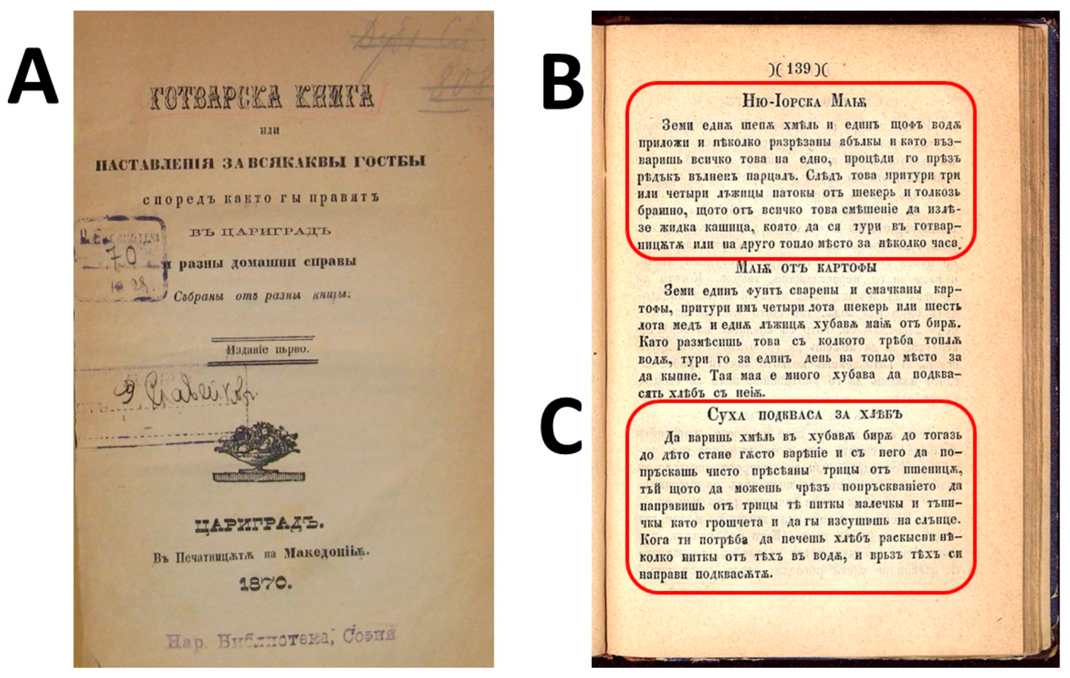 Foods 14 01767 g002 Foods 14 01767 g002