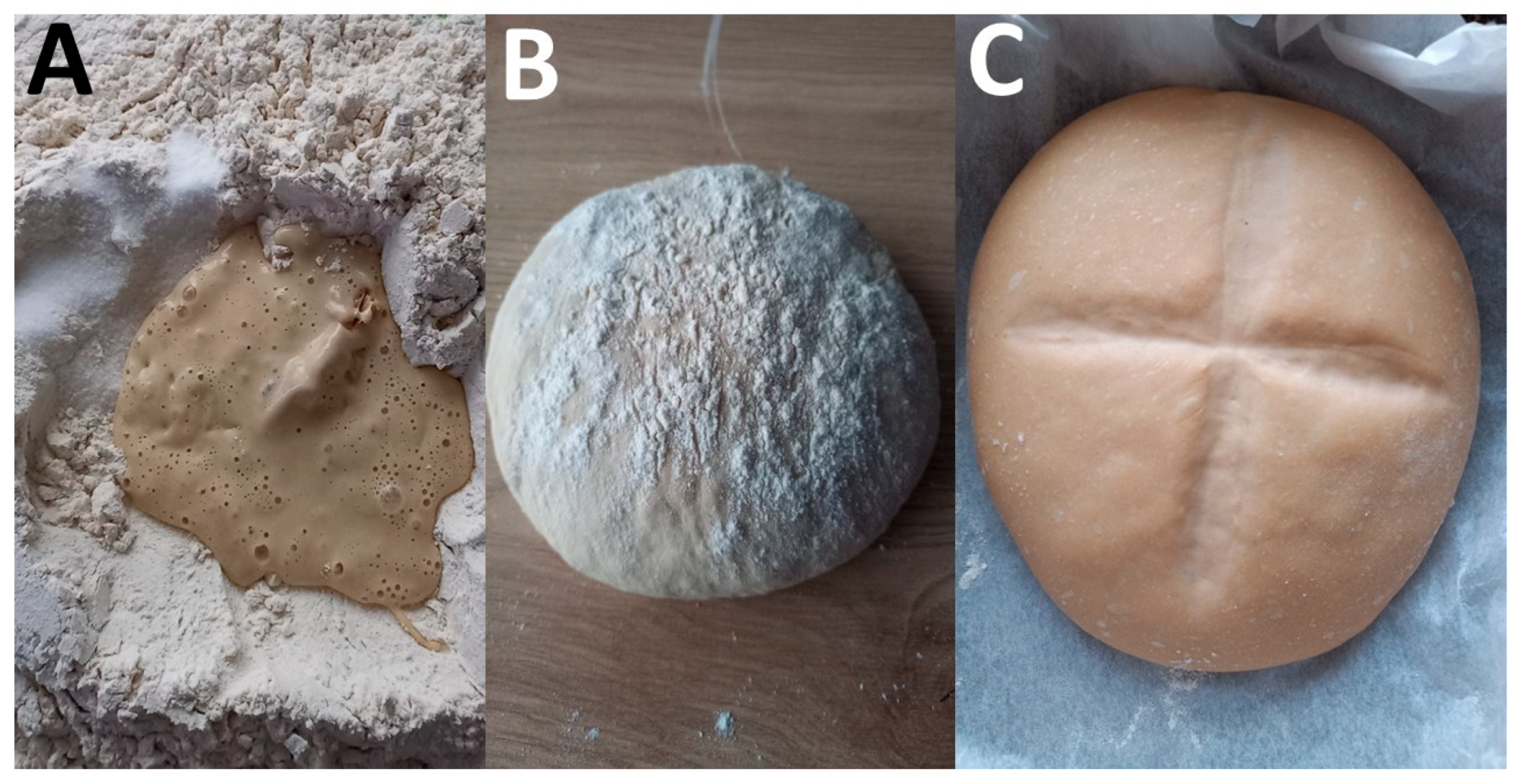 Foods 14 01767 g006 Foods 14 01767 g006