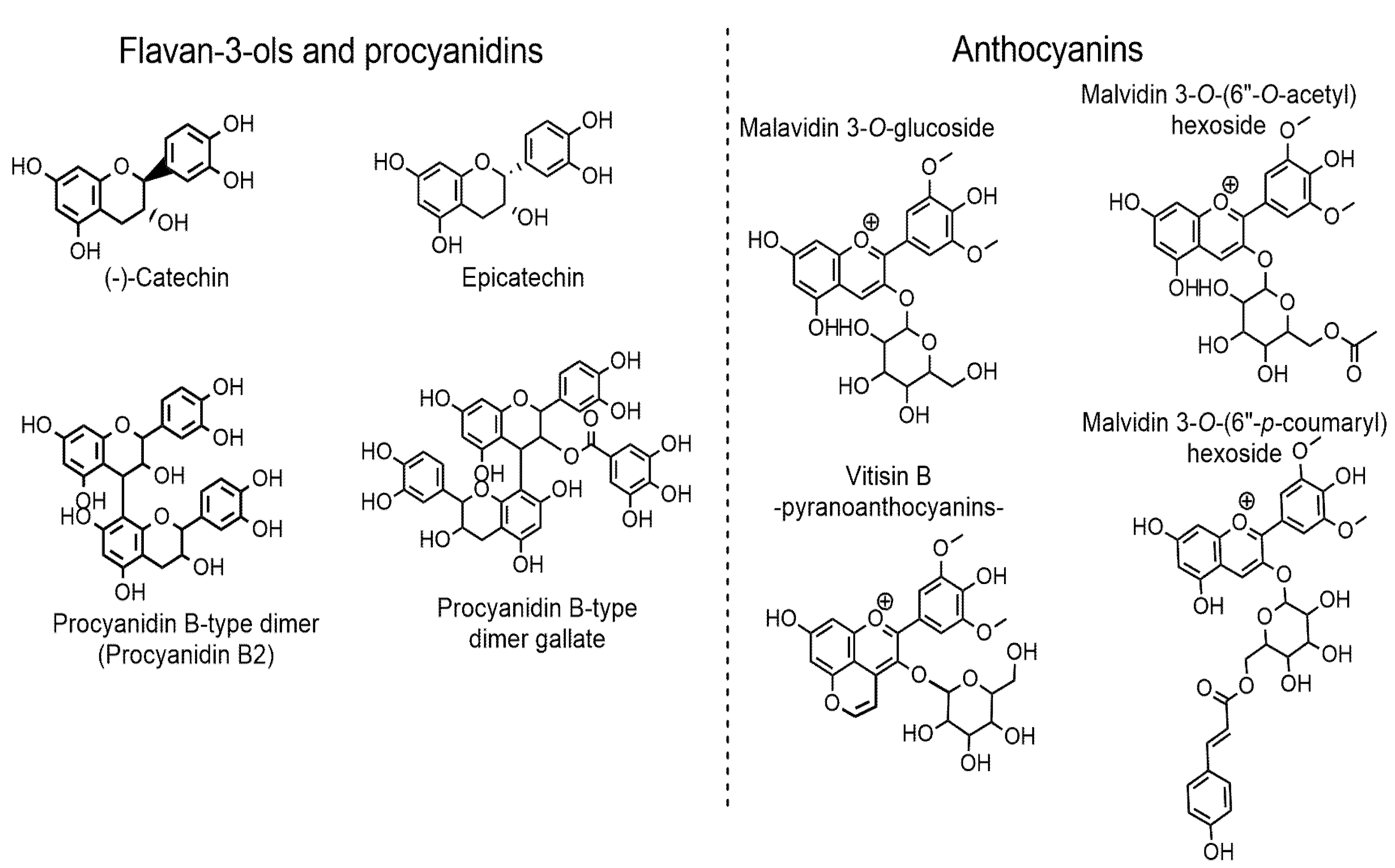Foods 14 01780 g001 Foods 14 01780 g001