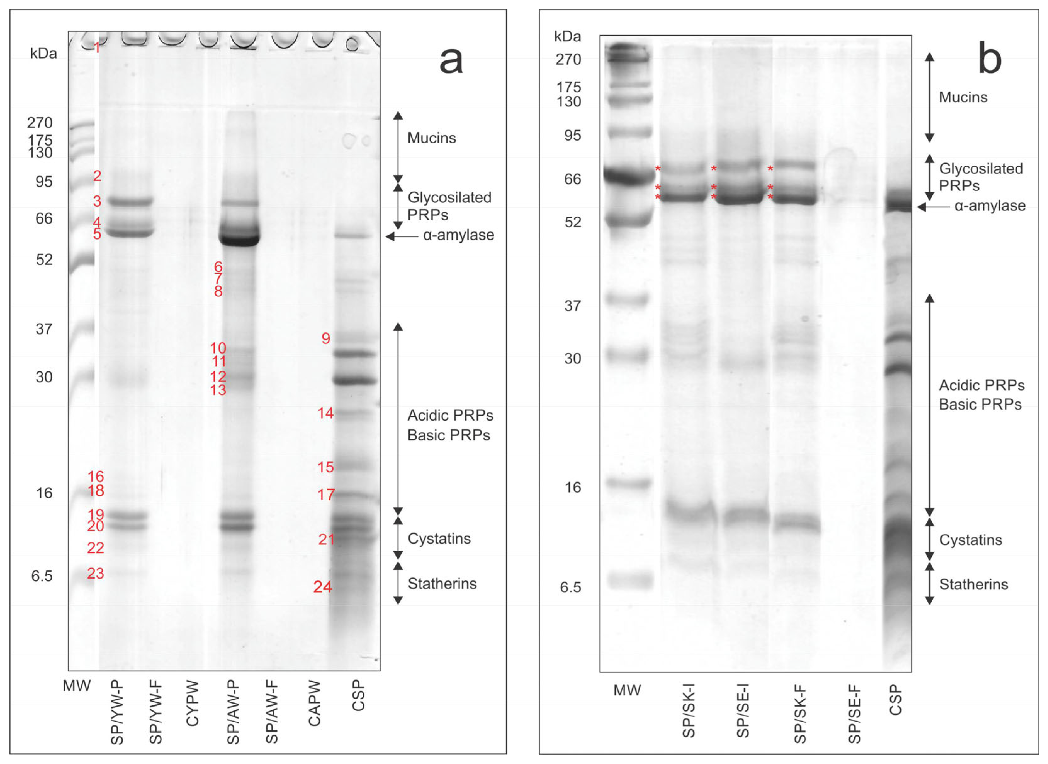 Foods 14 01780 g002 Foods 14 01780 g002