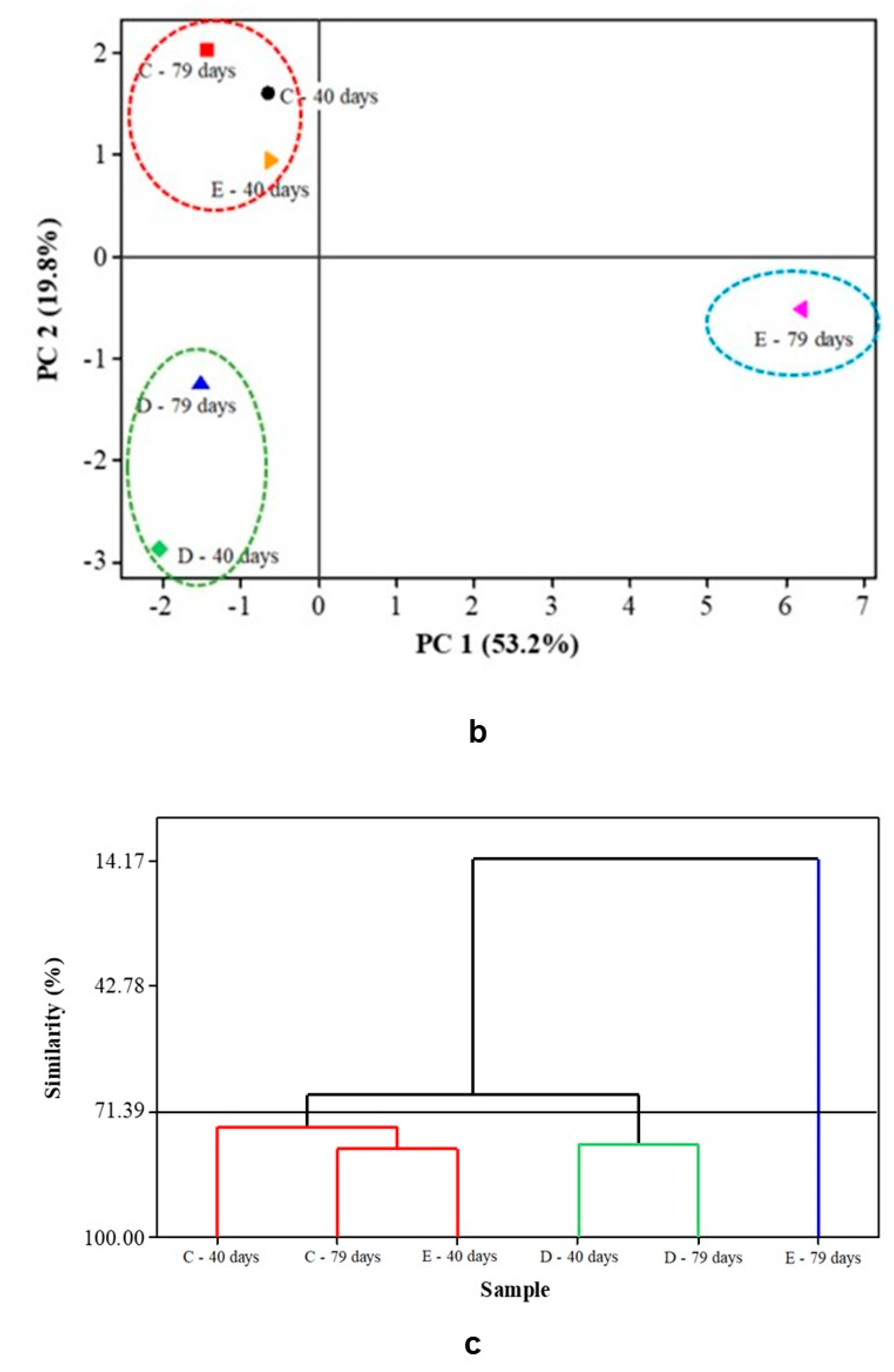 Foods 14 01812 g003b