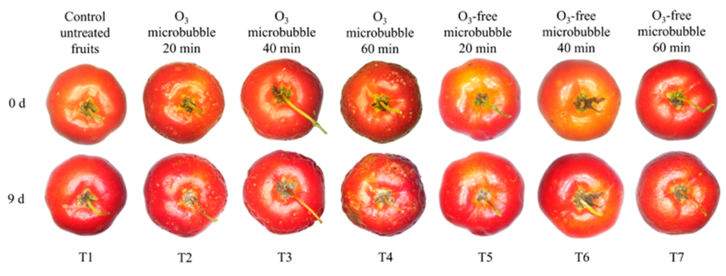 Foods 14 01814 g002 Foods 14 01814 g002
