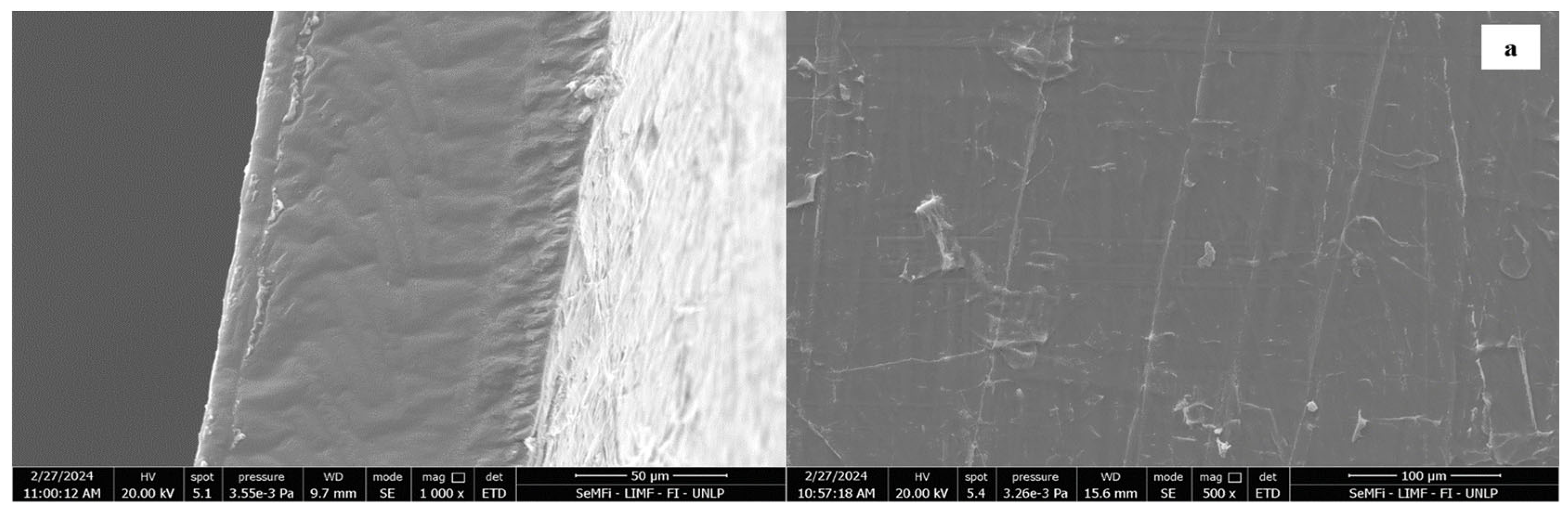 Foods 14 01843 g006a