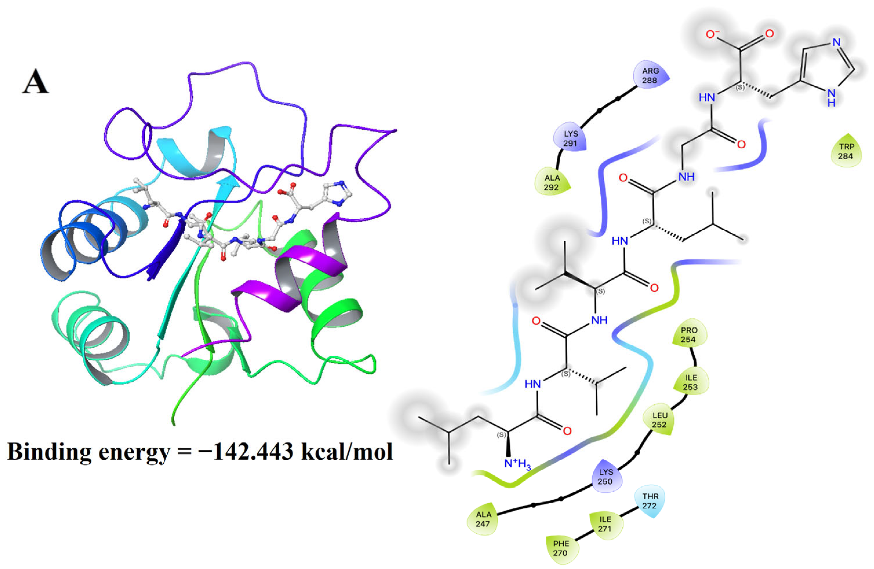 Foods 14 01865 g011a