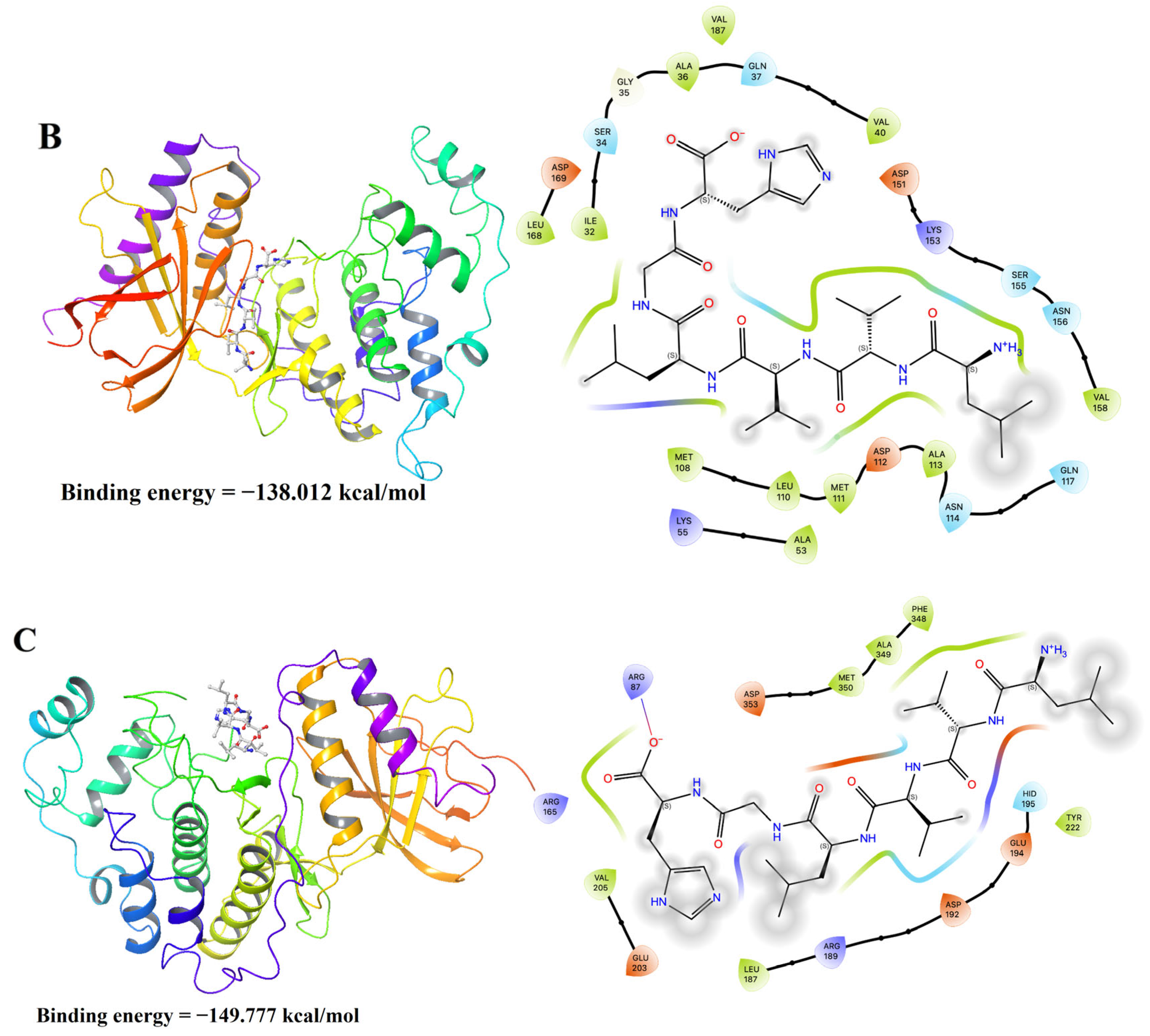 Foods 14 01865 g011b