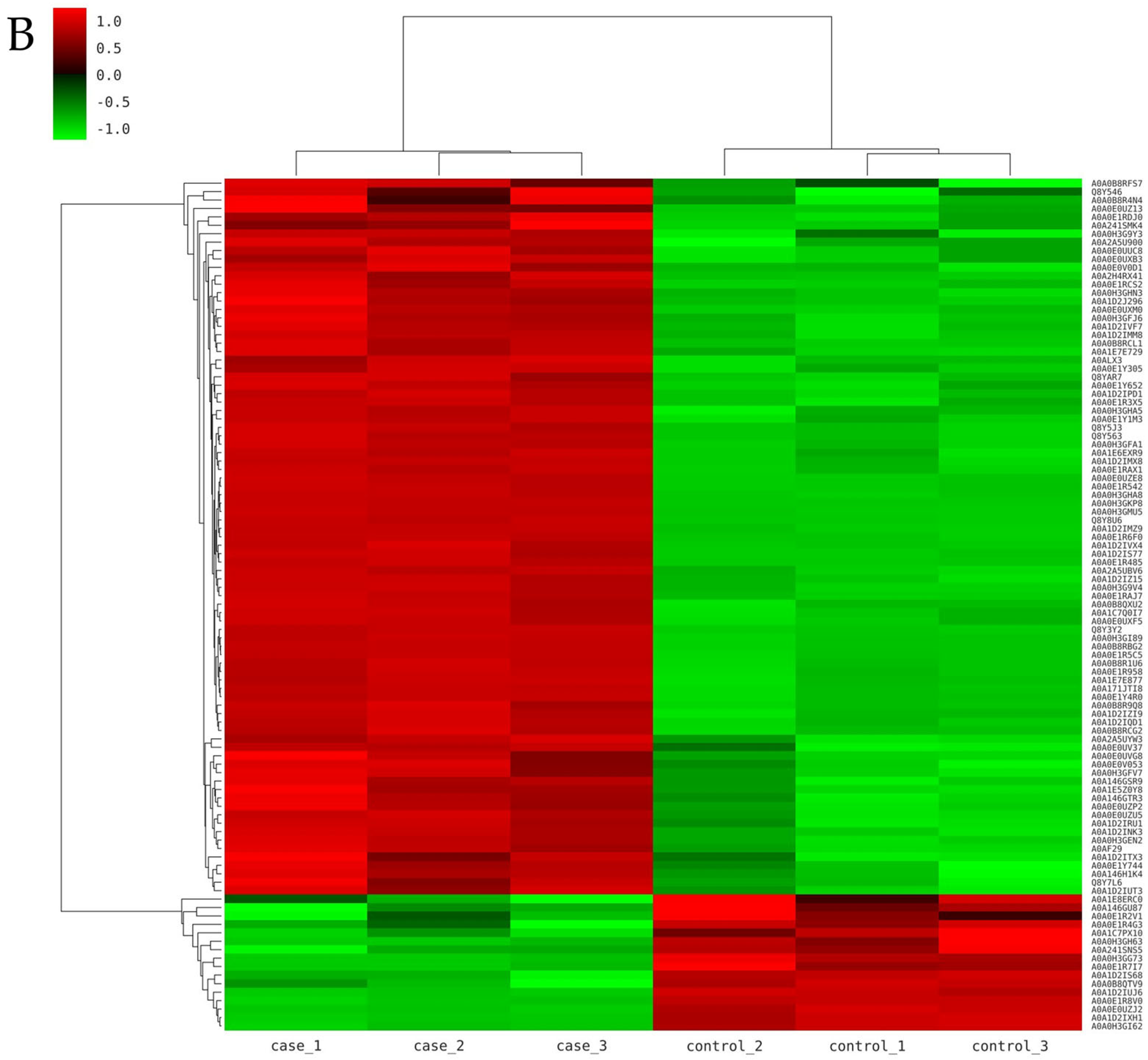 Foods 14 01871 g003b
