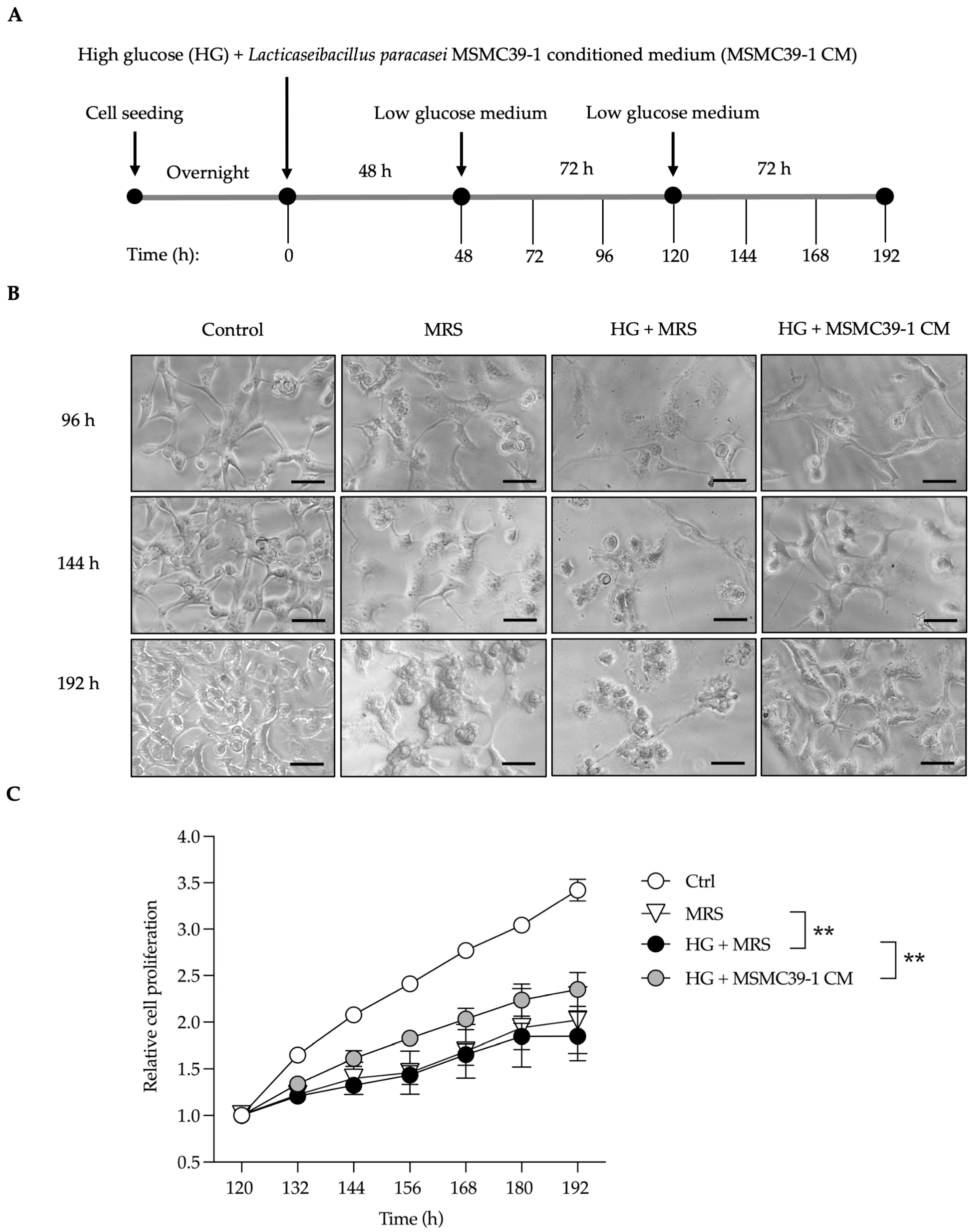 Foods 14 01874 g001 Foods 14 01874 g001
