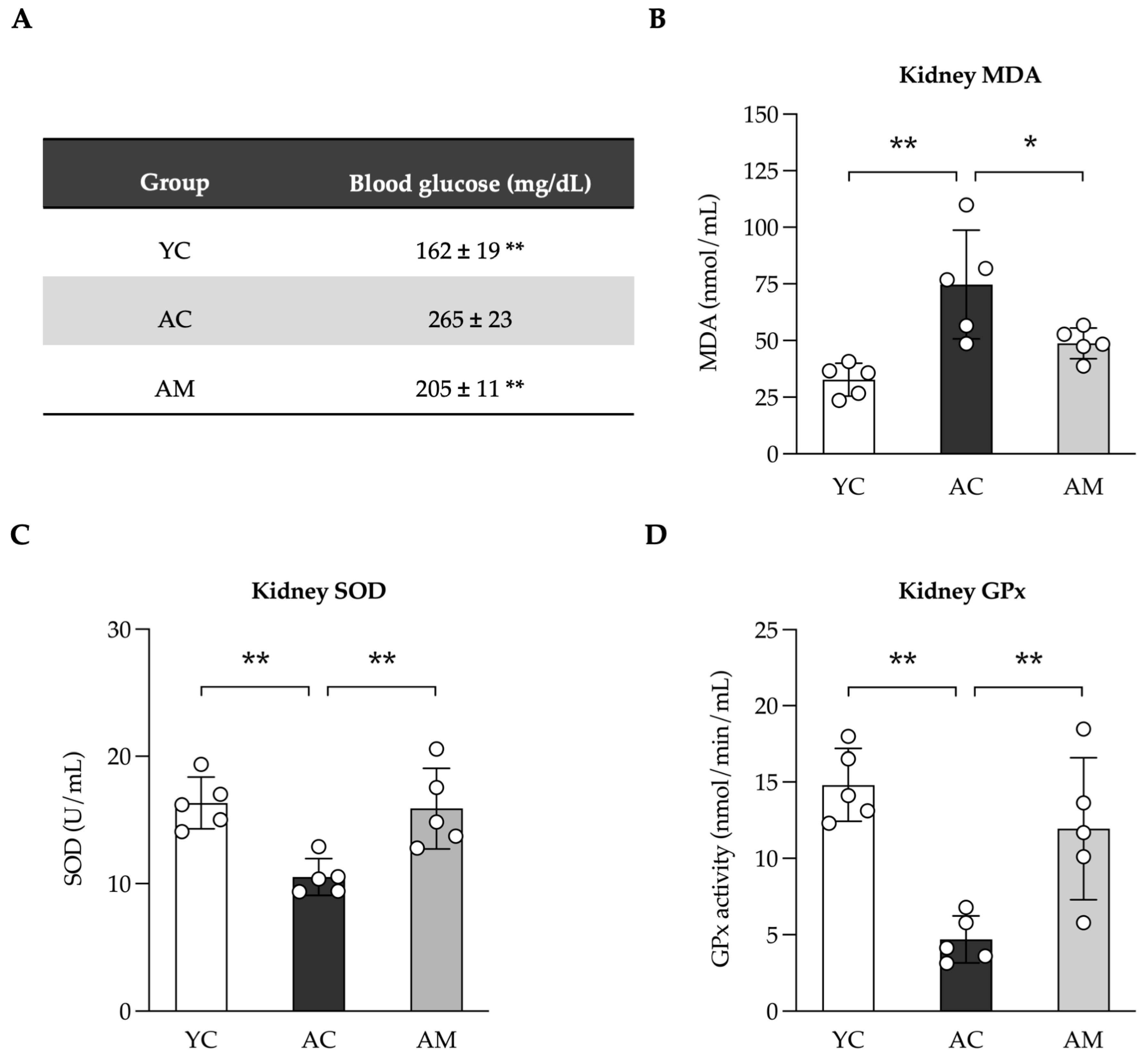 Foods 14 01874 g003 Foods 14 01874 g003