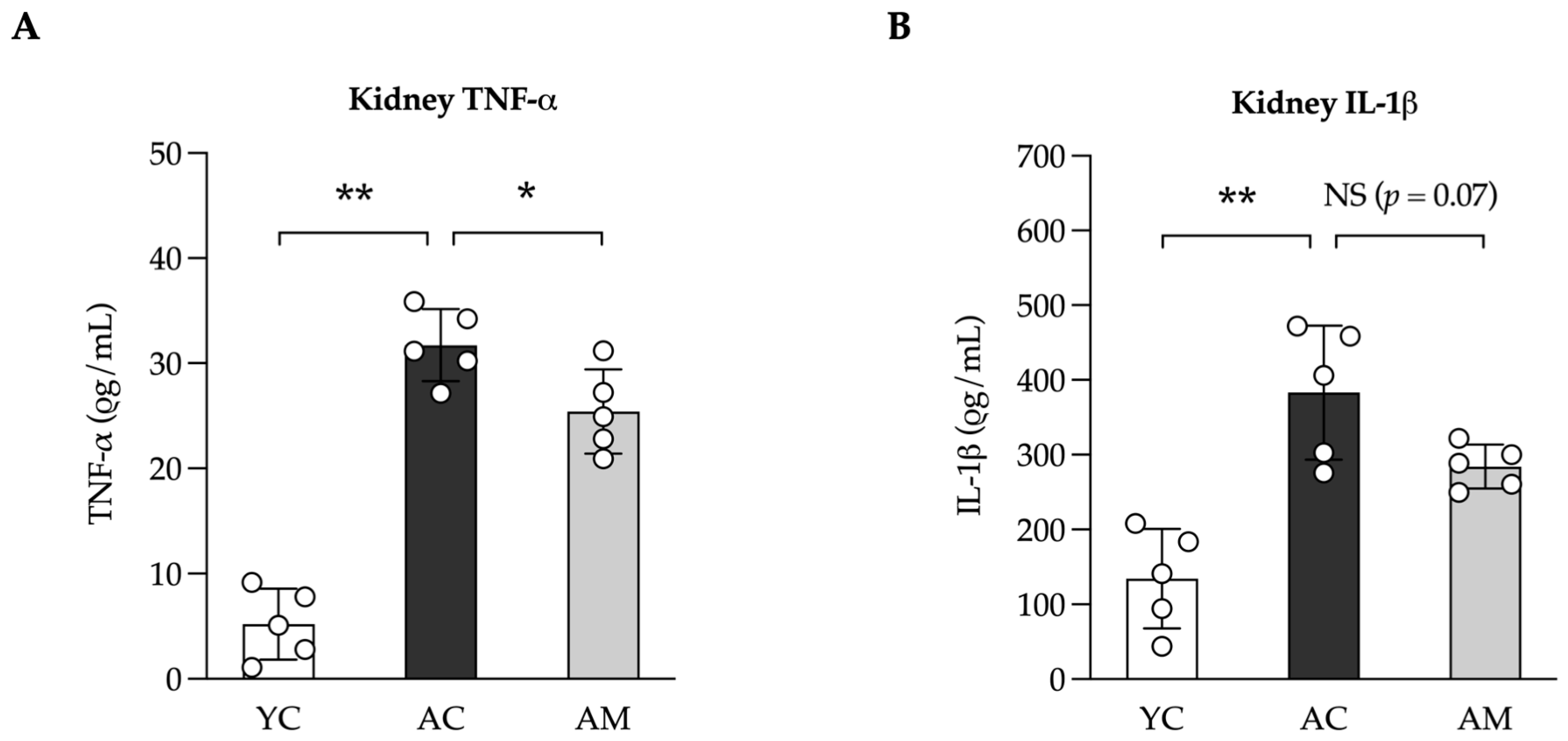 Foods 14 01874 g005 Foods 14 01874 g005