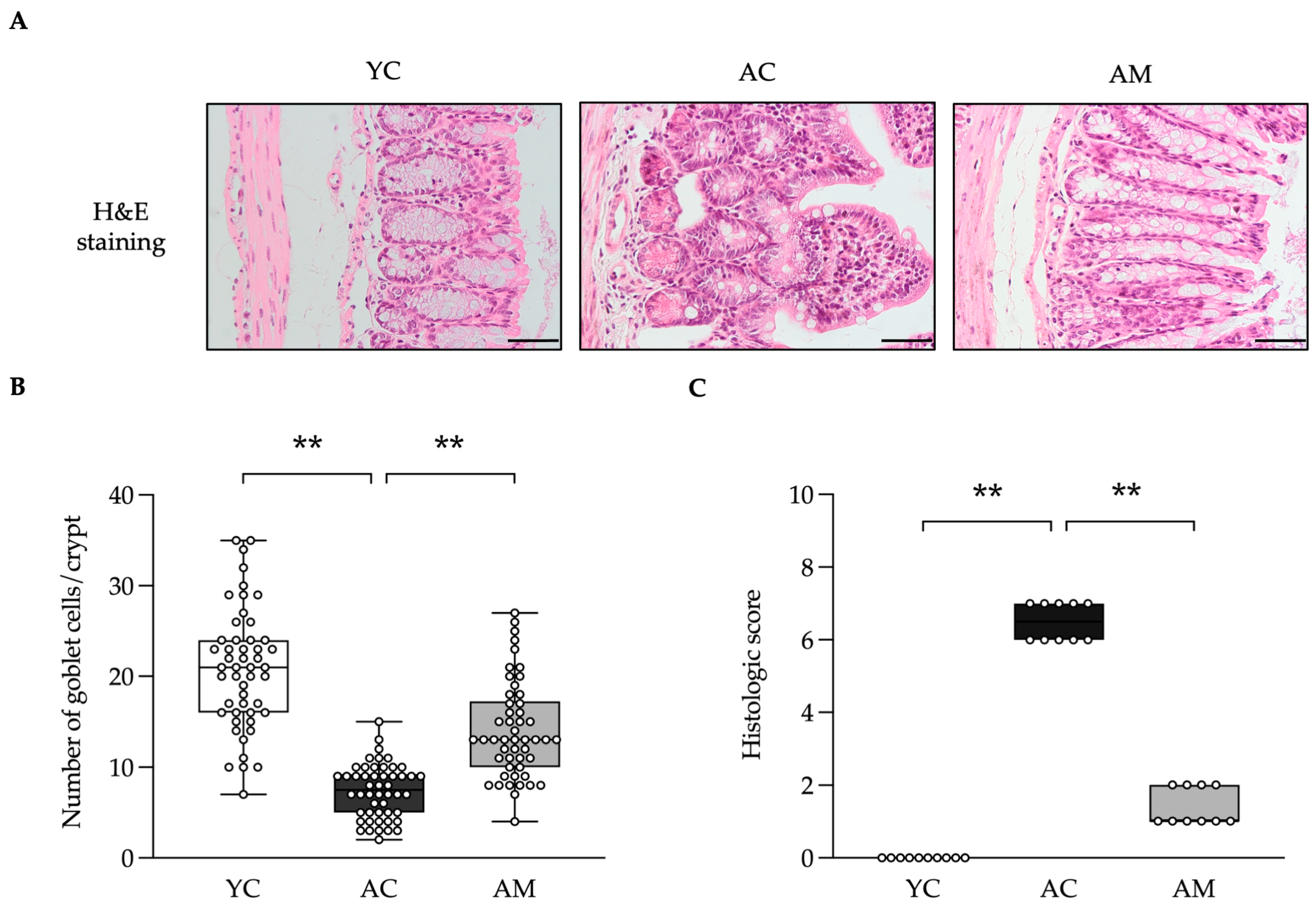 Foods 14 01874 g006 Foods 14 01874 g006
