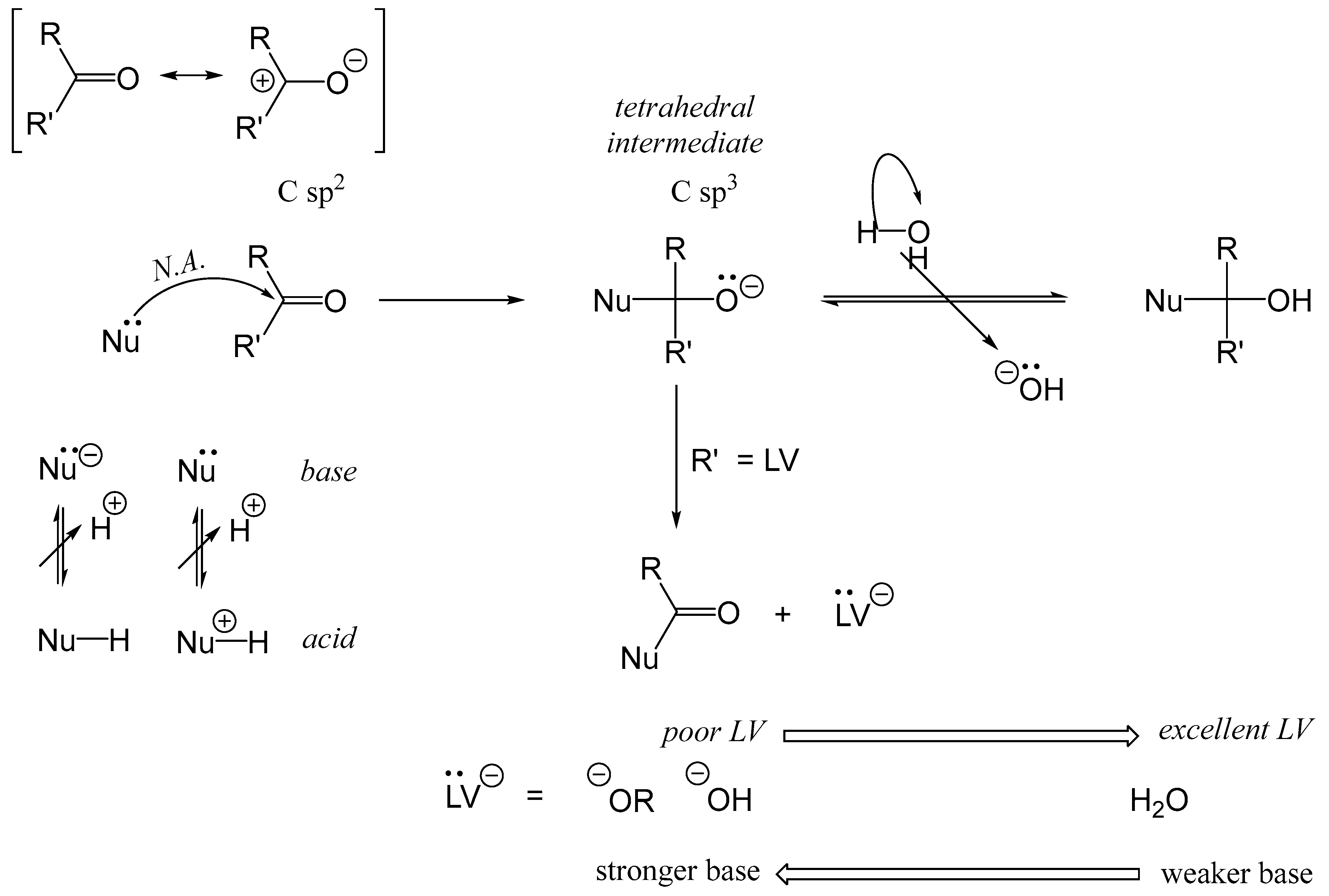 Foods 14 01881 g004 Foods 14 01881 g004