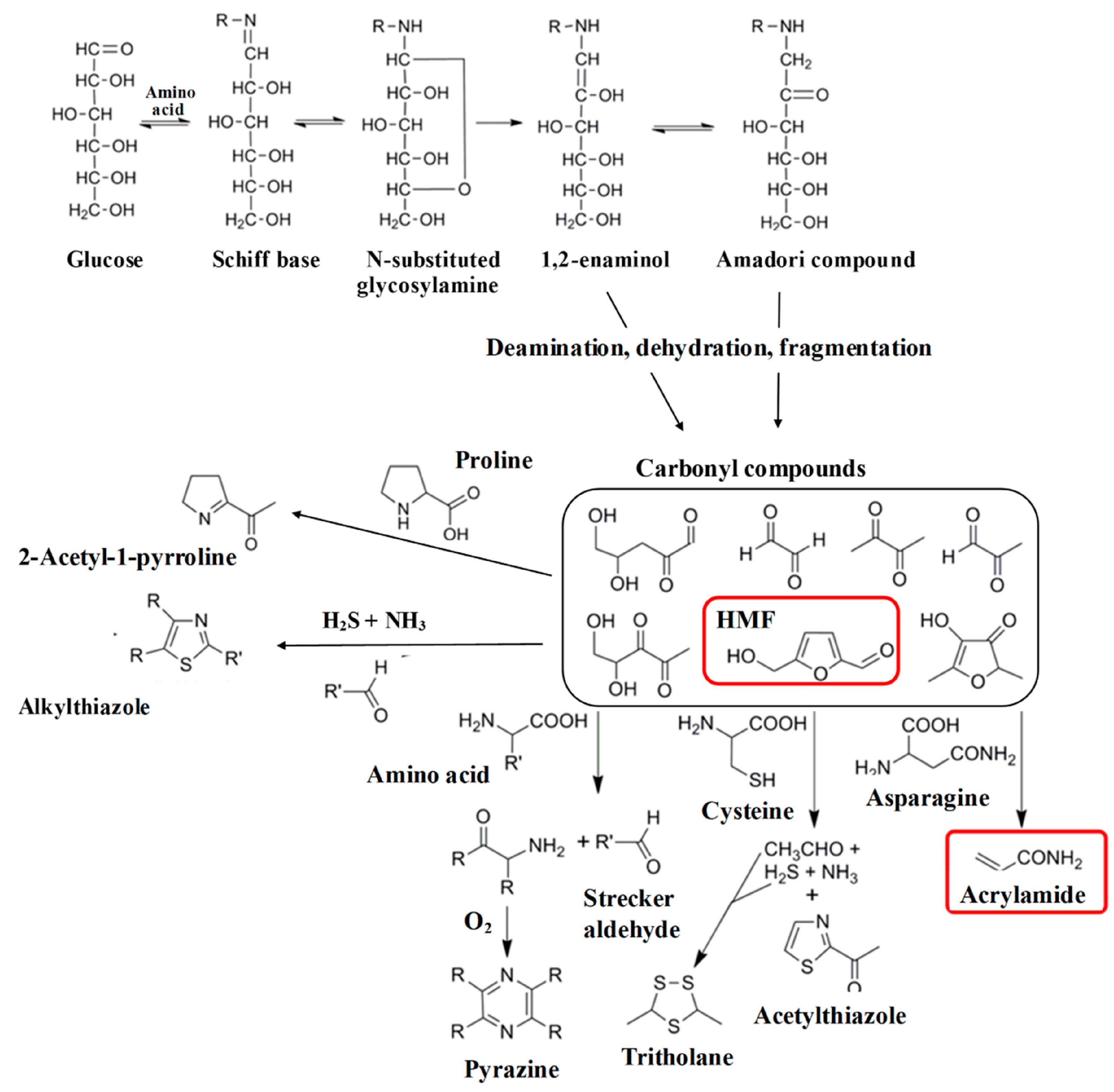 Foods 14 01881 g005 Foods 14 01881 g005