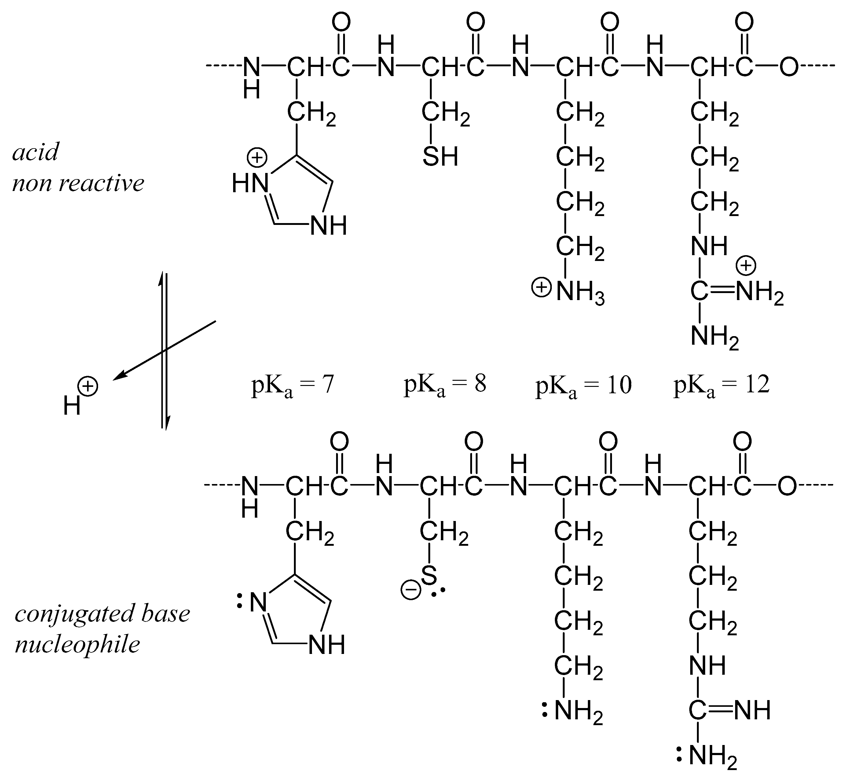 Foods 14 01881 g007 Foods 14 01881 g007