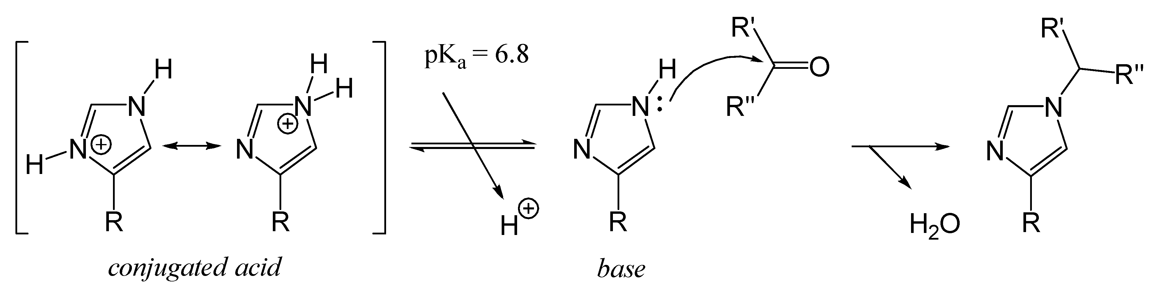 Foods 14 01881 g009 Foods 14 01881 g009