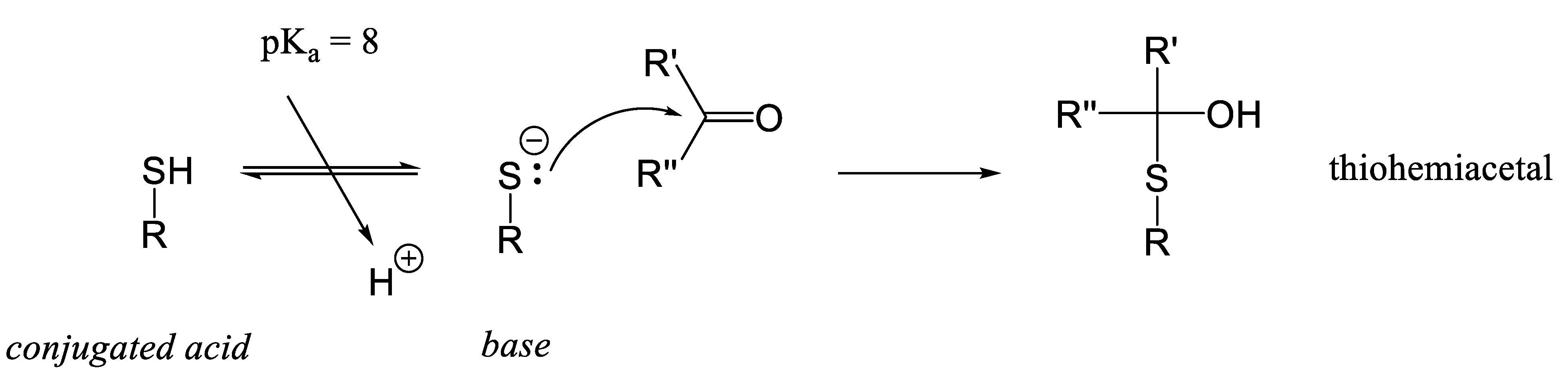 Foods 14 01881 g013 Foods 14 01881 g013