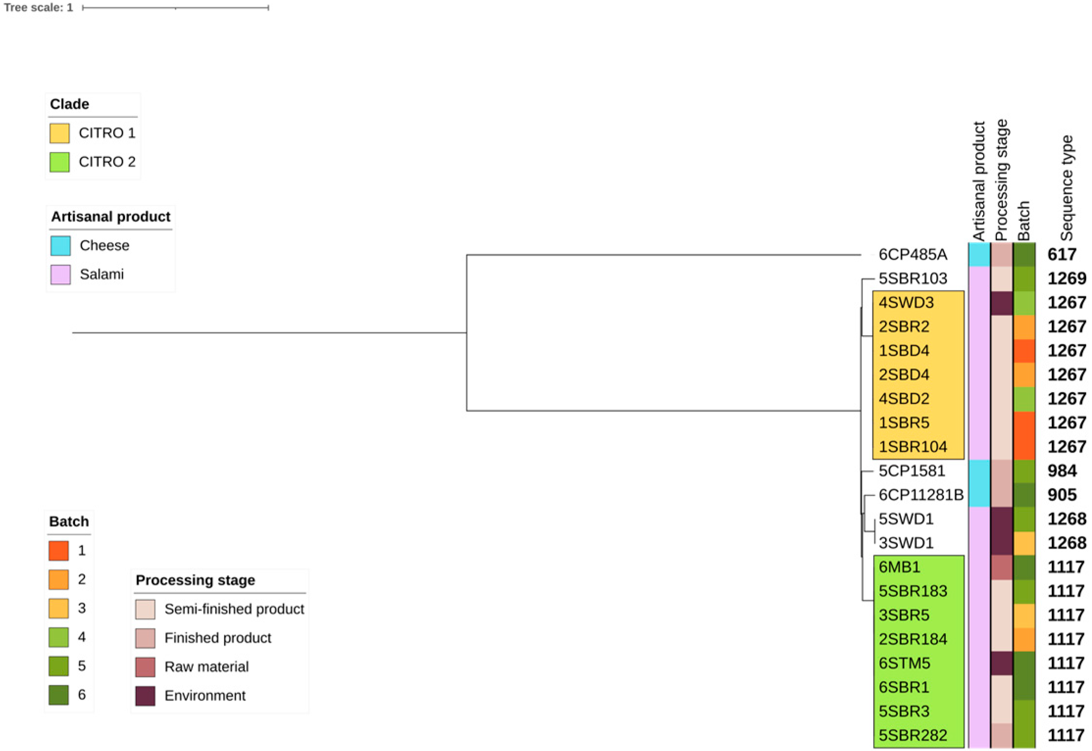 Foods 14 01887 g001 Foods 14 01887 g001