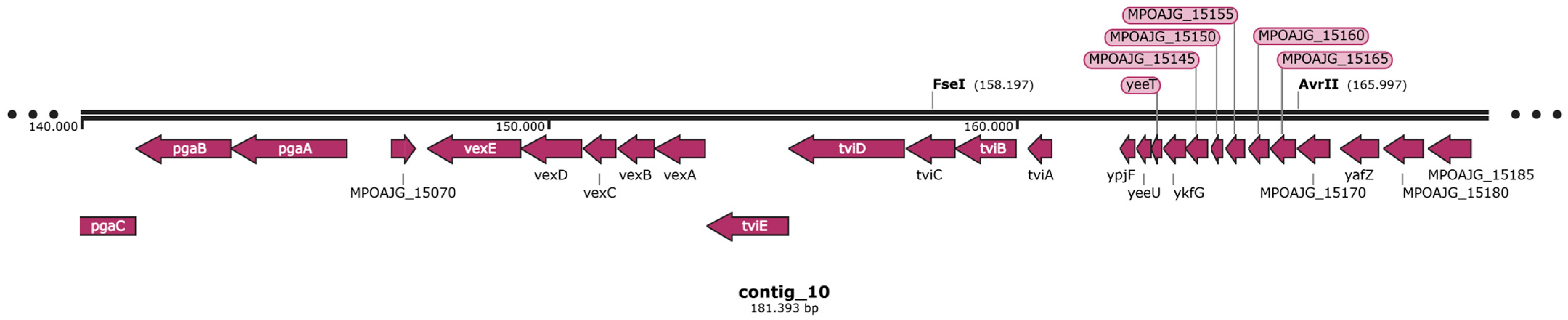 Foods 14 01887 g006 Foods 14 01887 g006